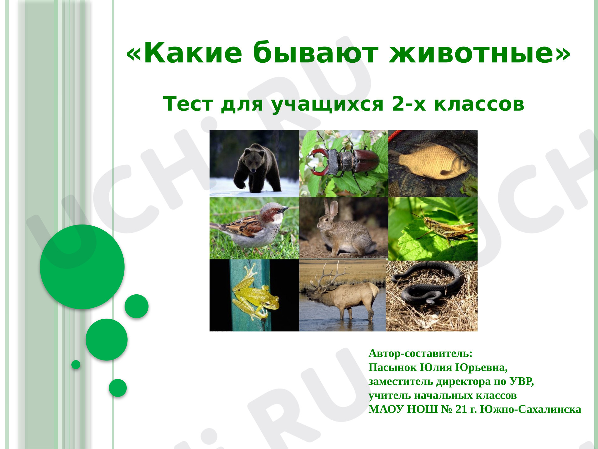 Предпросмотр материала Презентация к уроку окружающего мира по теме: Какие бывают животные