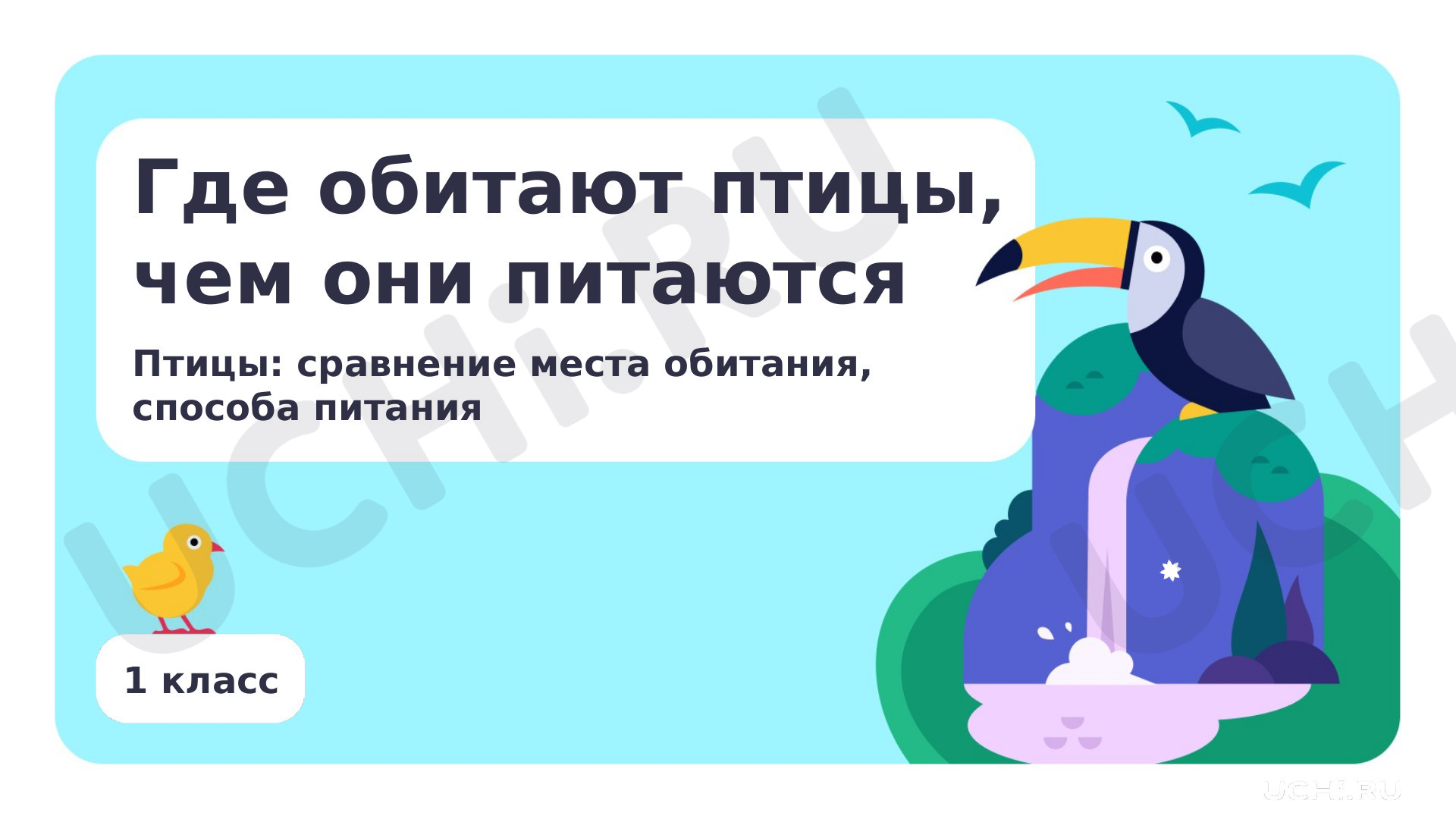 Окружающий мир, 1 класс, Где обитают птицы, чем они питаются.pptx