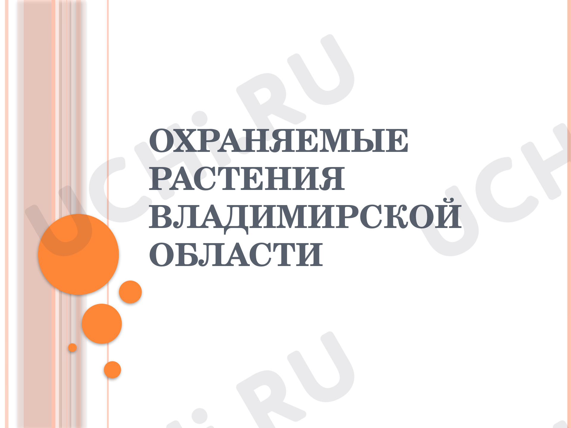 Предпросмотр материала Презентация по теме: Охраняемые растения Владимирской области
