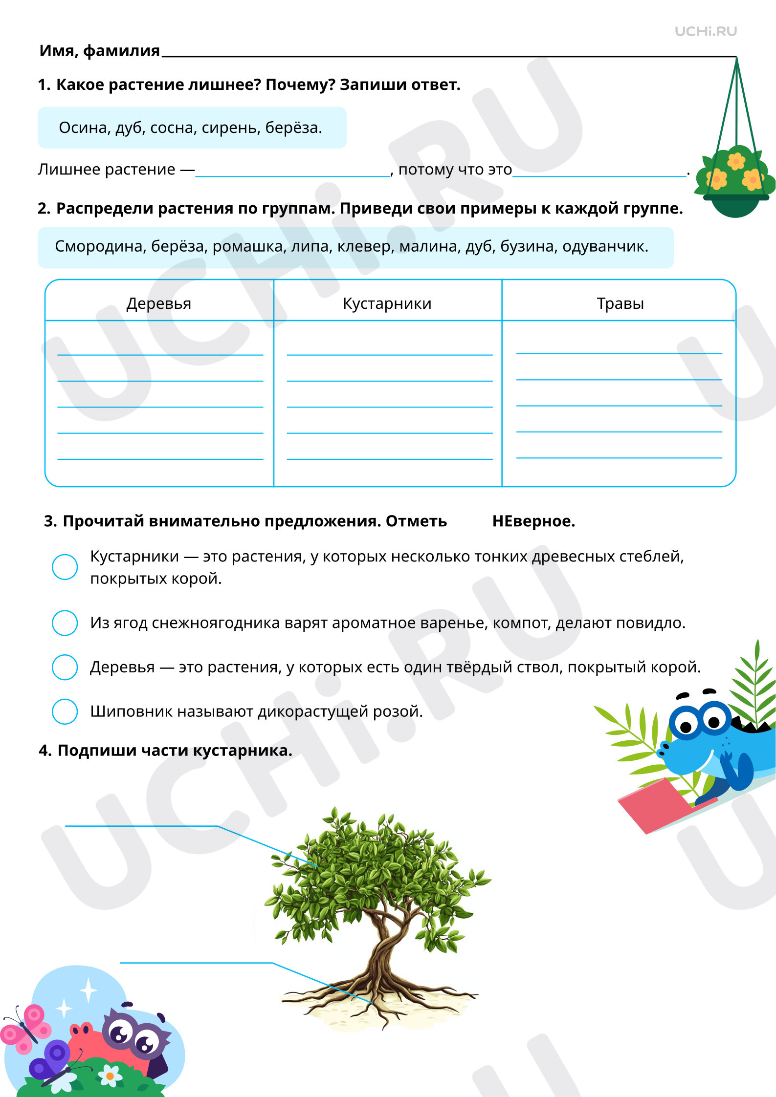 Предпросмотр материала Кустарники нашего края: узнавание, название, краткое описание. Базовый