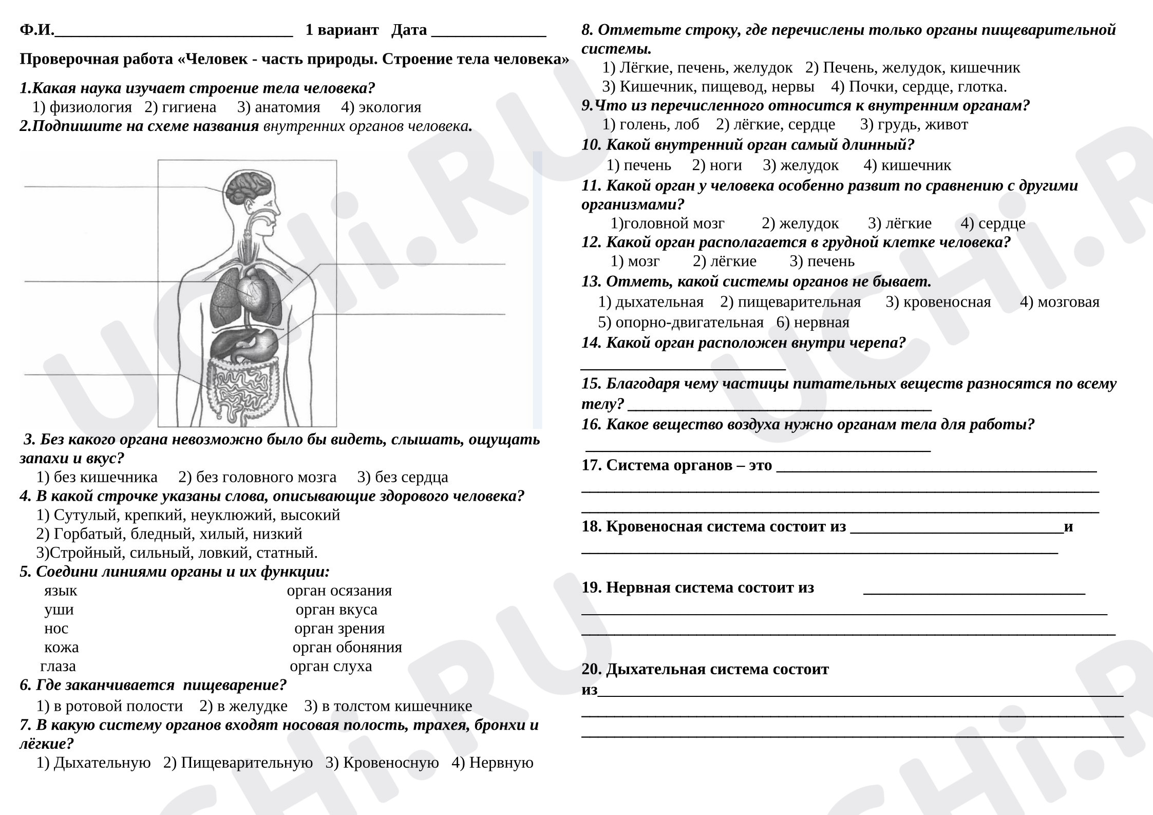 Предпросмотр материала Окружающий мир. 3 класс 3 четверть 2 варианта. Контрольная работа «Человек - часть природы. Строение тела человека».