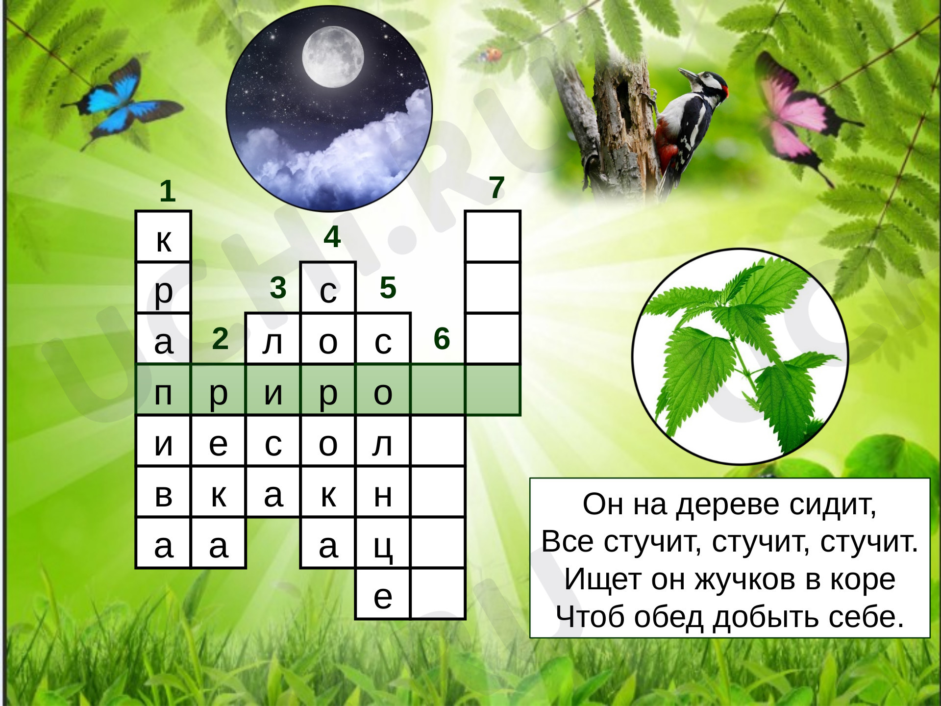 Мир вокруг, окружающий мир 2 класс | Подготовка к уроку от Учи.ру