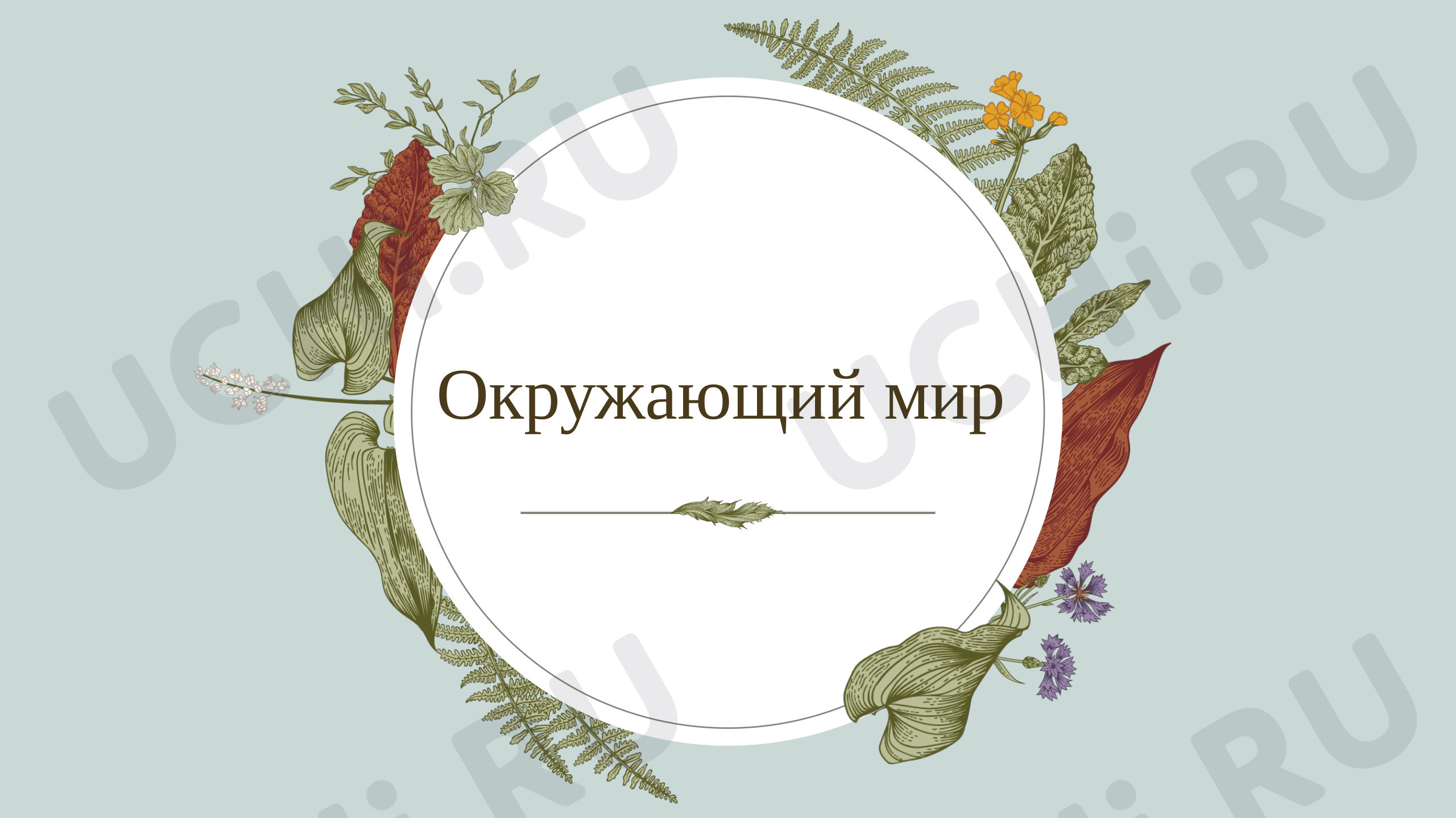 Предпросмотр материала Презентация к уроку по окружающему миру. Звездное небо