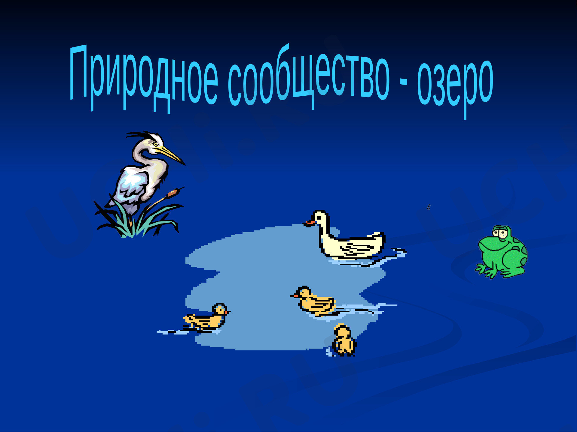 Предпросмотр материала Природное сообщество — озеро