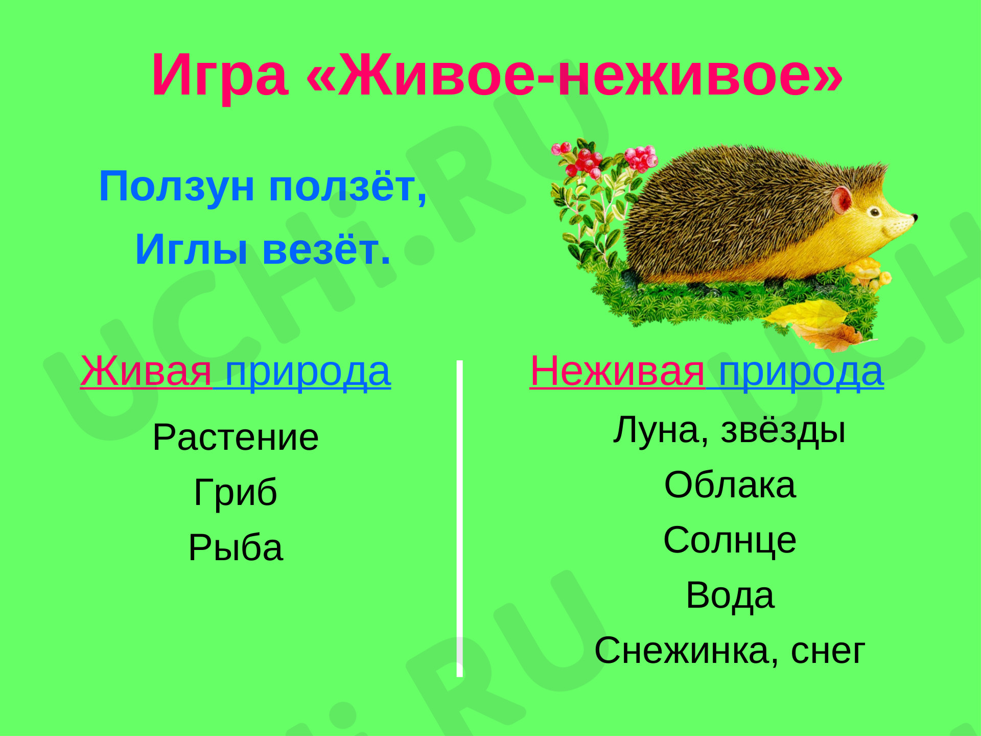 Ответы к рабочим листам по теме «Объекты живой природы. Сравнение объектов  неживой и живой природы: выделение различий»: Объекты живой природы.  Сравнение объектов неживой и живой природы: выделение различий | Учи.ру