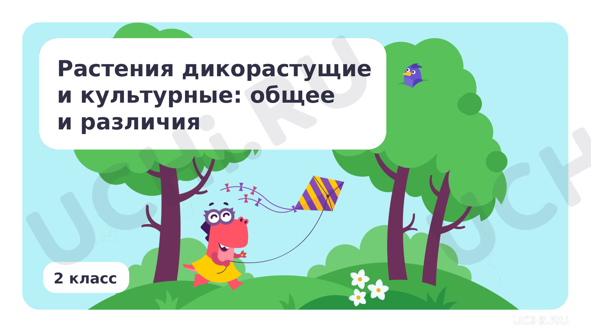 Предпросмотр материала Растения дикорастущие и культурные: общее и различия