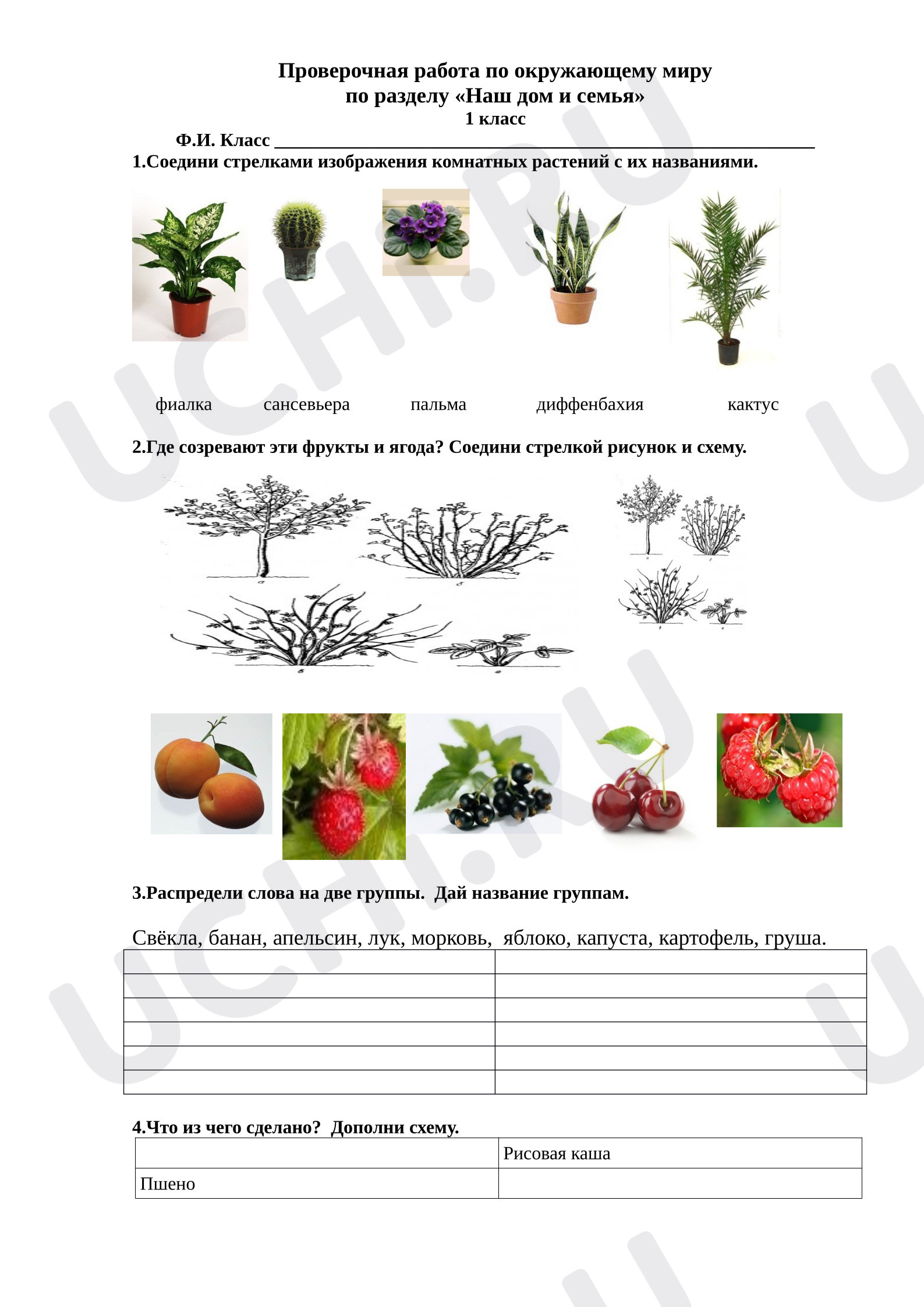 Предпросмотр материала Моя семья. Наш дом