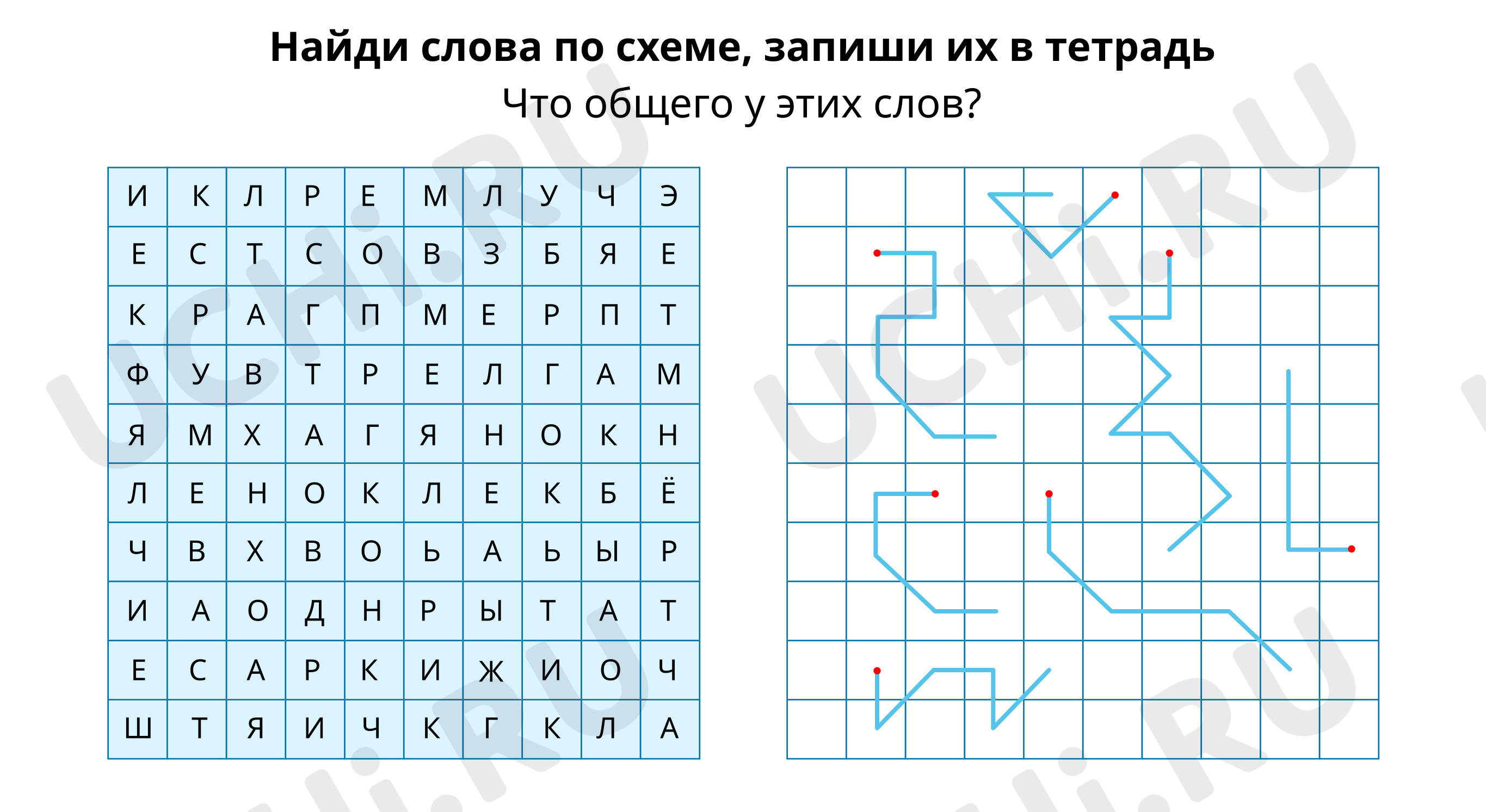 Предпросмотр материала Найди слова по схеме