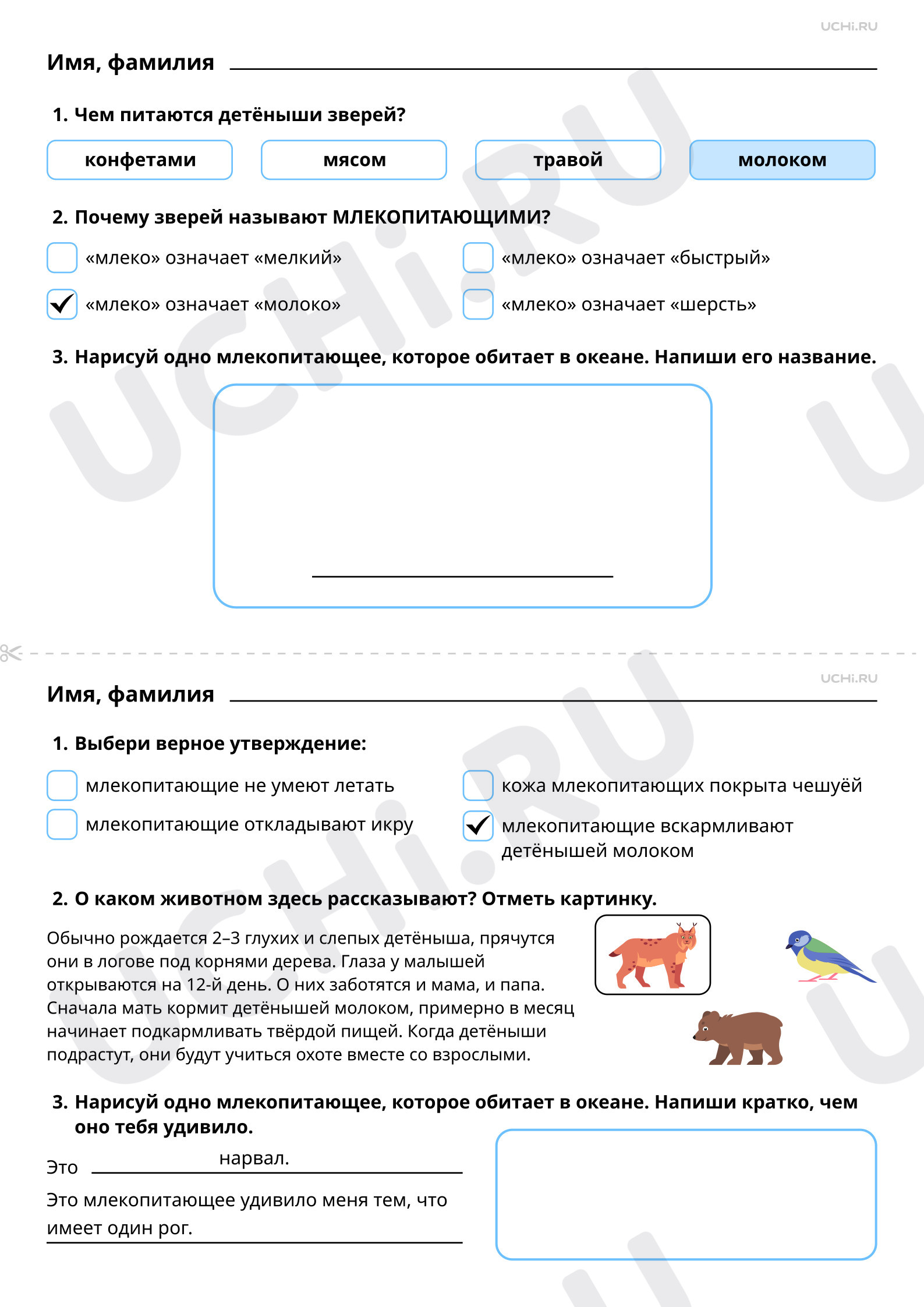 Ответы к рабочим листам по теме «Мир животных. Чем похожи все звери:  главная особенность этой группы животных. Забота зверей о своих детёнышах»:  Мир животных: чем похожи все звери: главная особенность этой группы