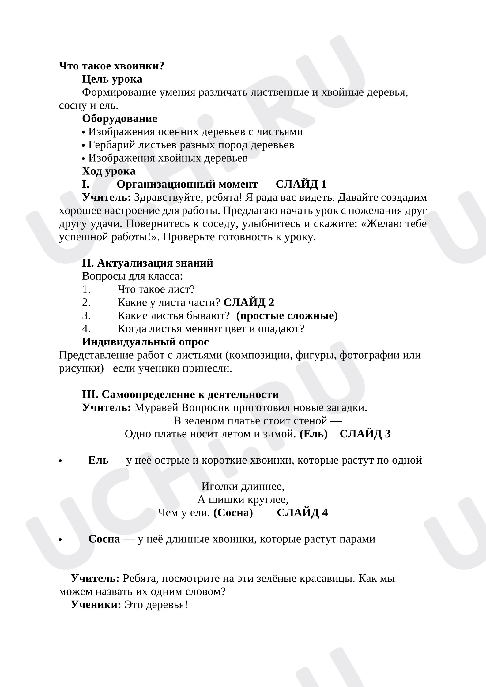 Предпросмотр материала Конспект урока окружающего мира. Что такое хвоинки?