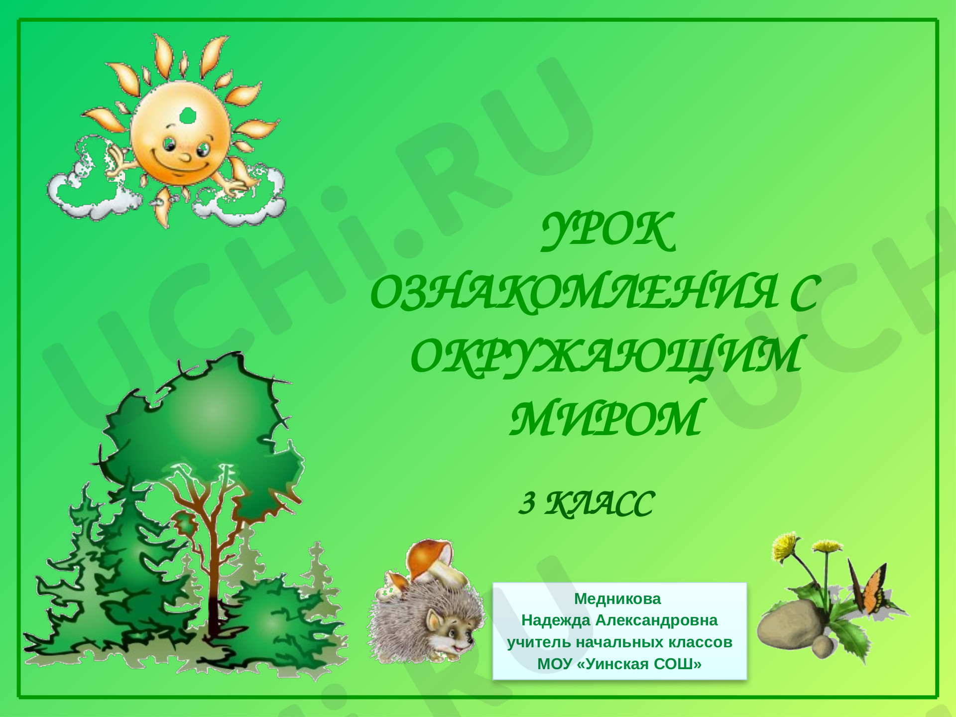 Предпросмотр материала Многообразие грибов