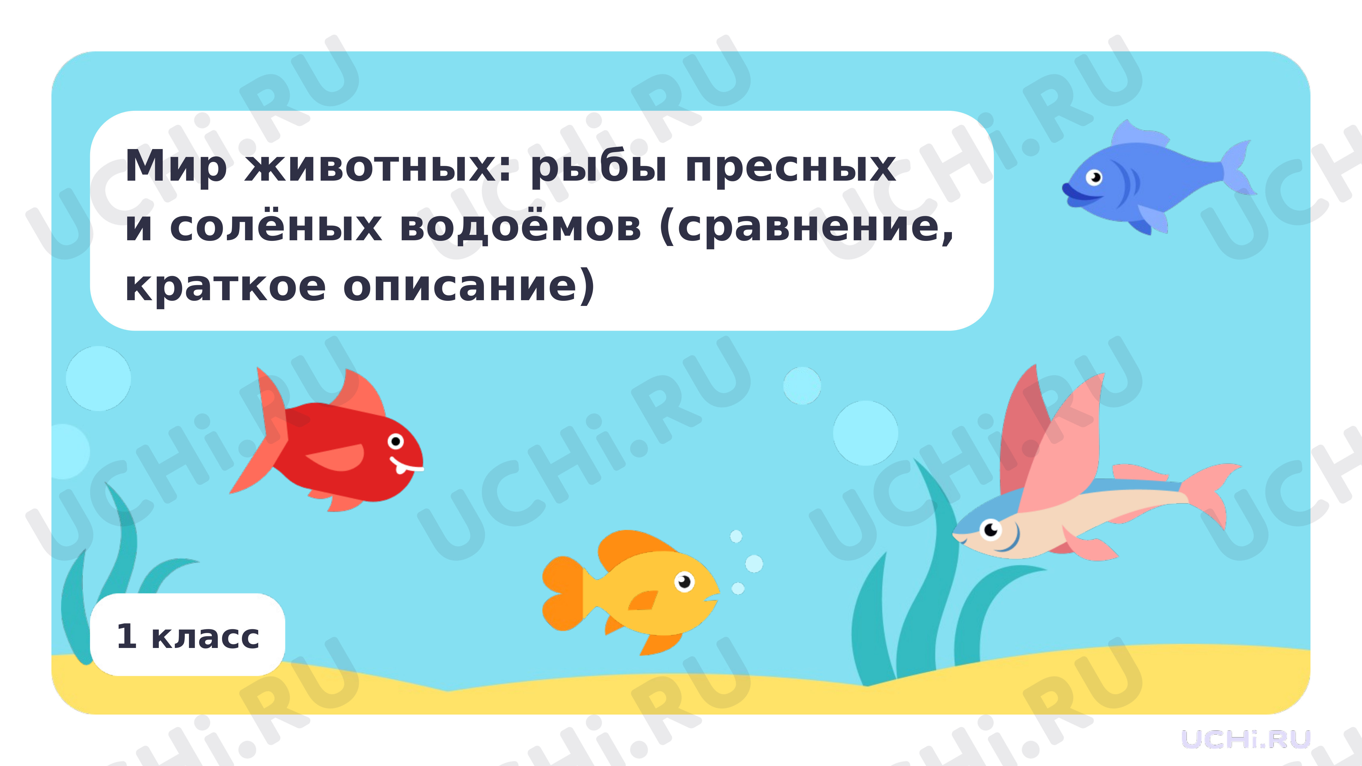 Предпросмотр материала Мир животных: рыбы пресных и солёных водоёмов