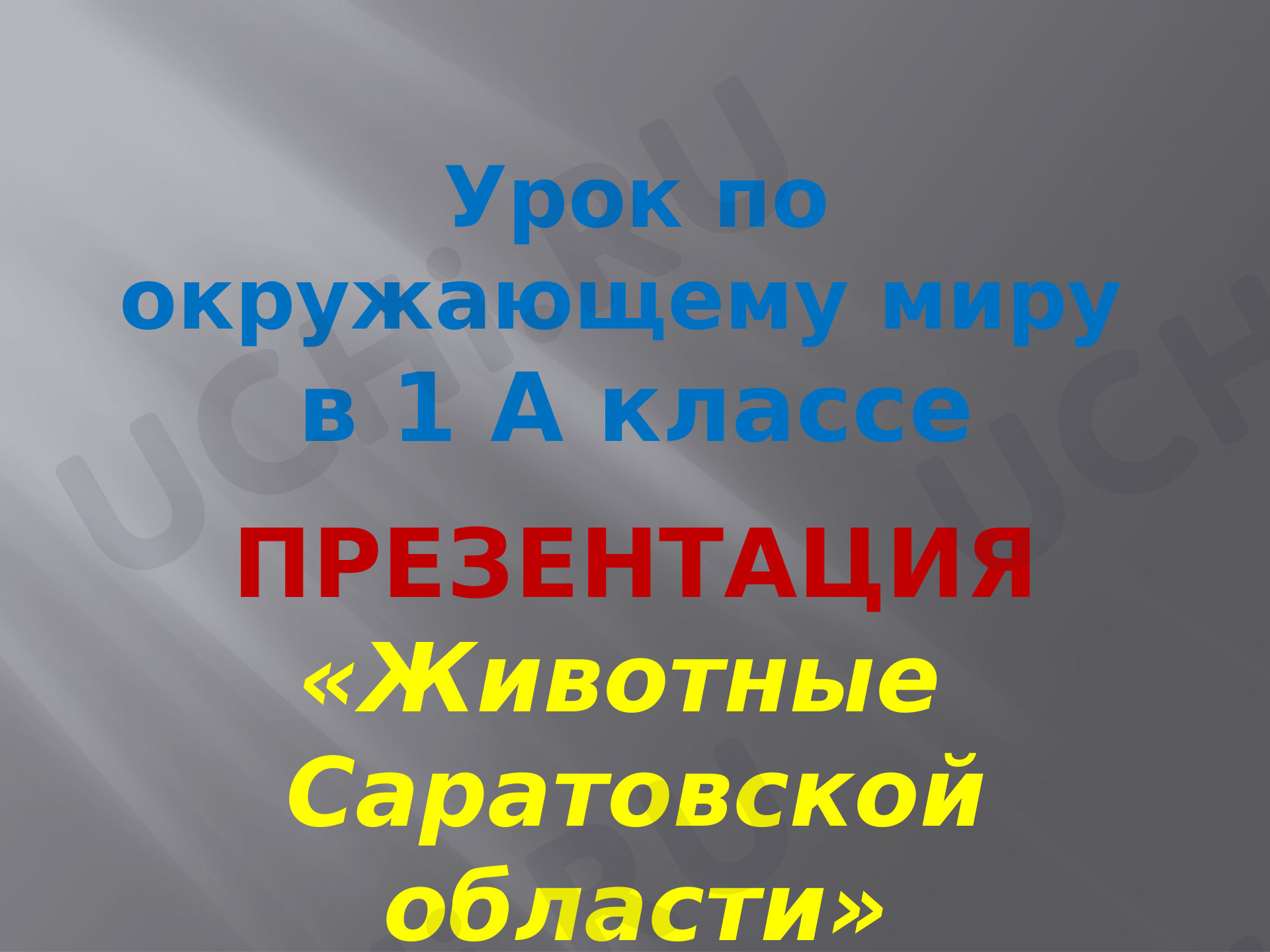 Предпросмотр материала Презентация по окружающему миру на тему "Животные Саратовской области"