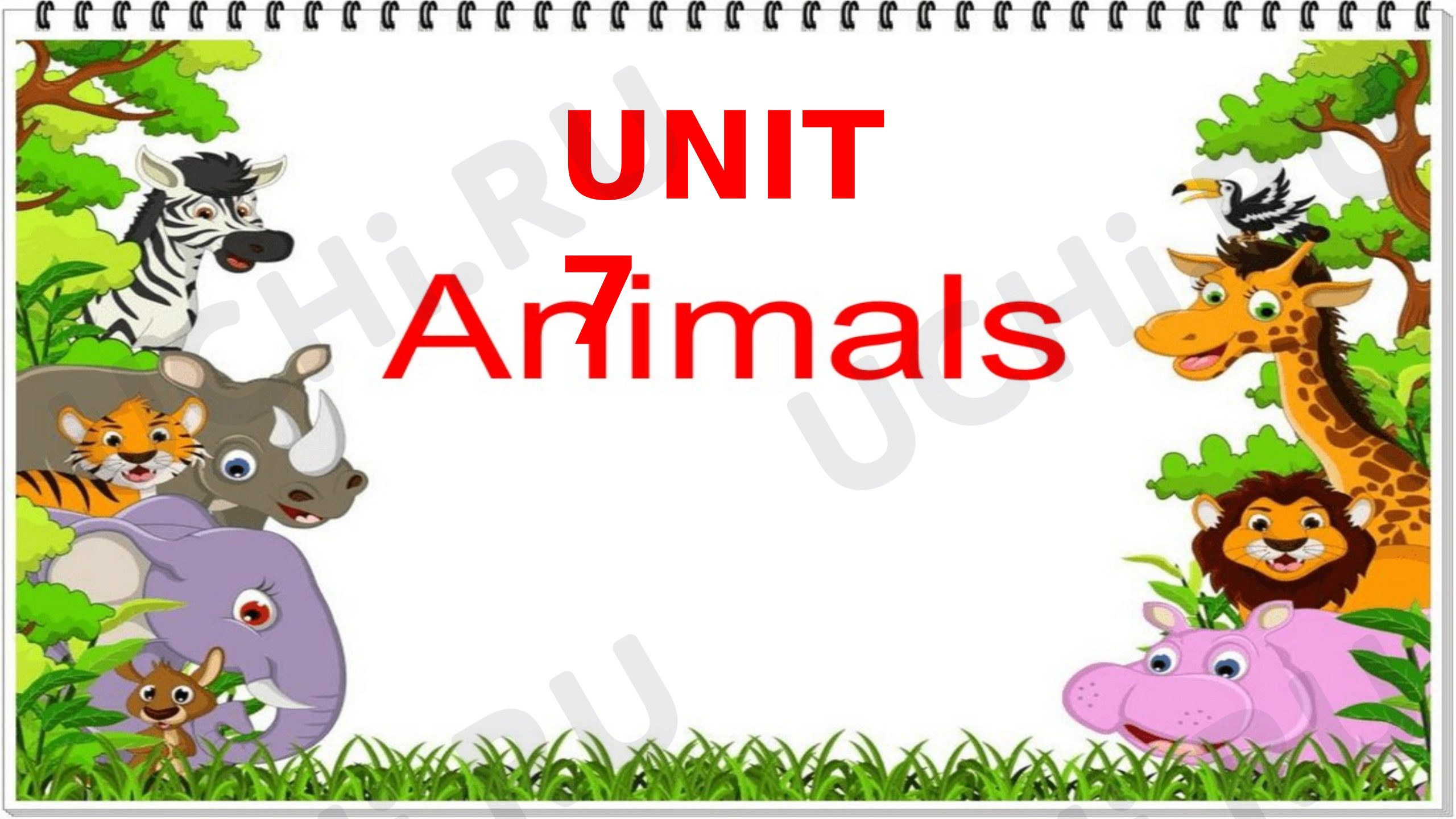 Предпросмотр материала Английский язык. Презентация к уроку Animals.