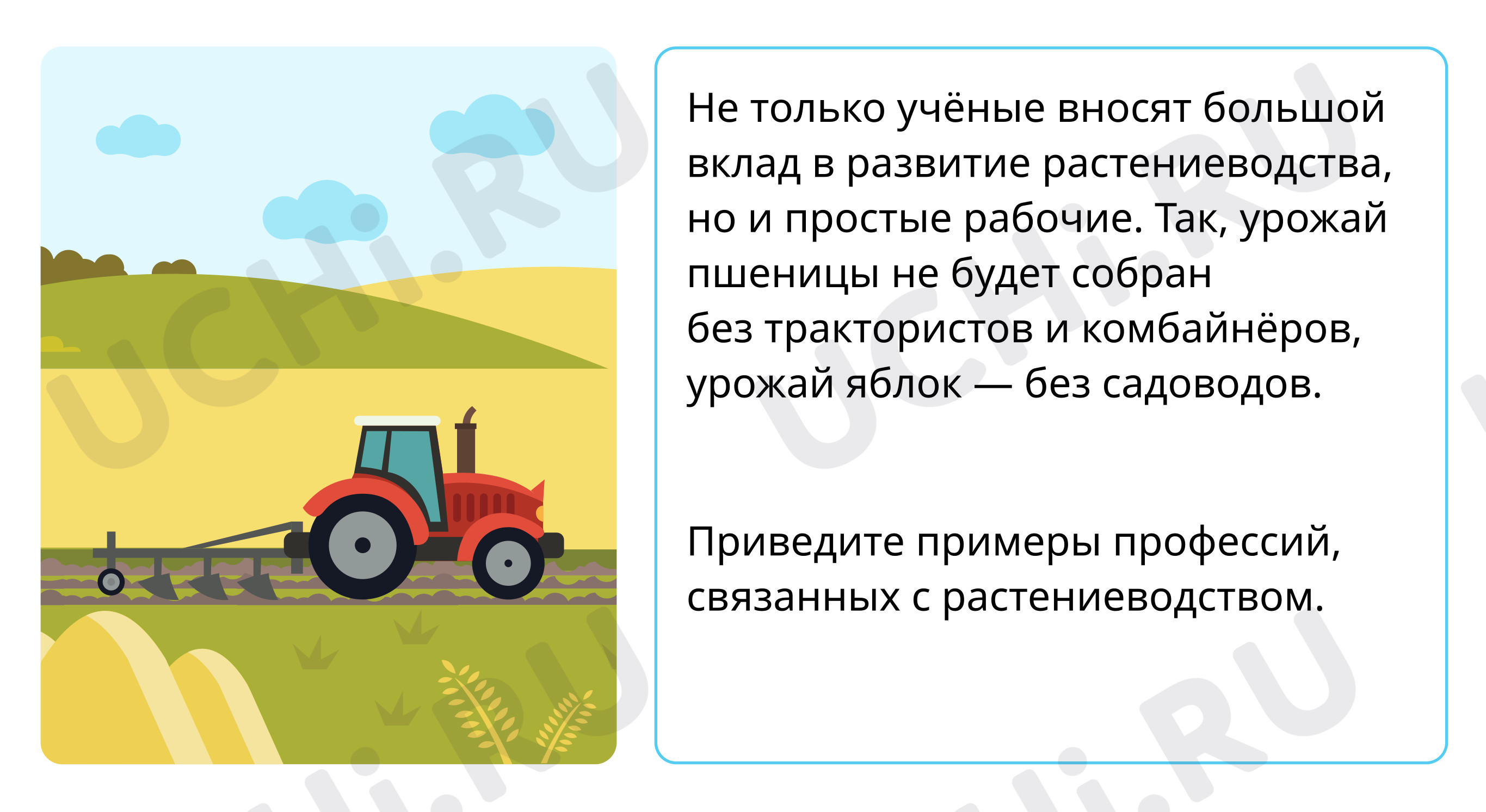 Экономика, окружающий мир 3 класс | Подготовка к уроку от Учи.ру