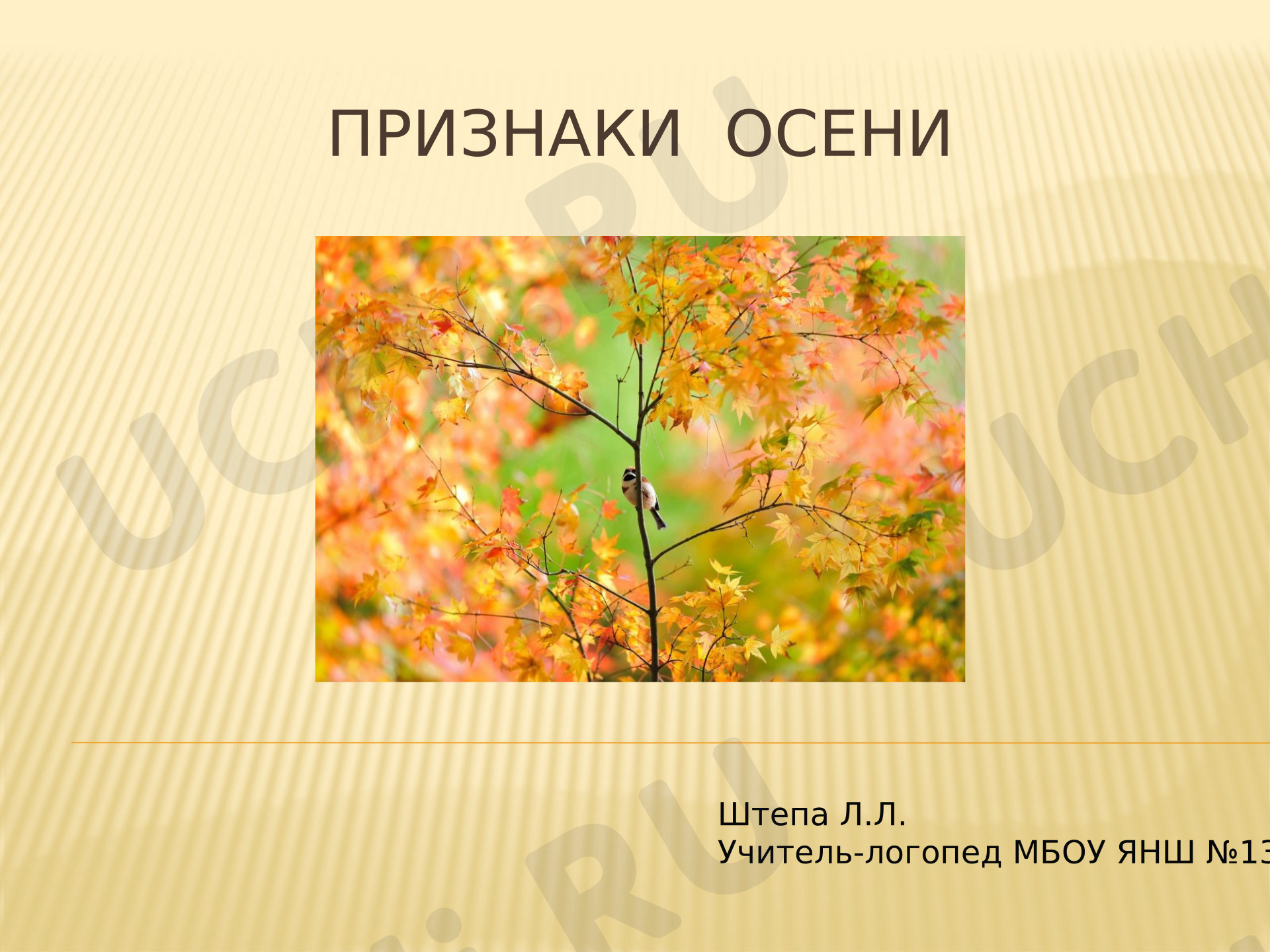 Предпросмотр материала Презентация «Признаки осени»