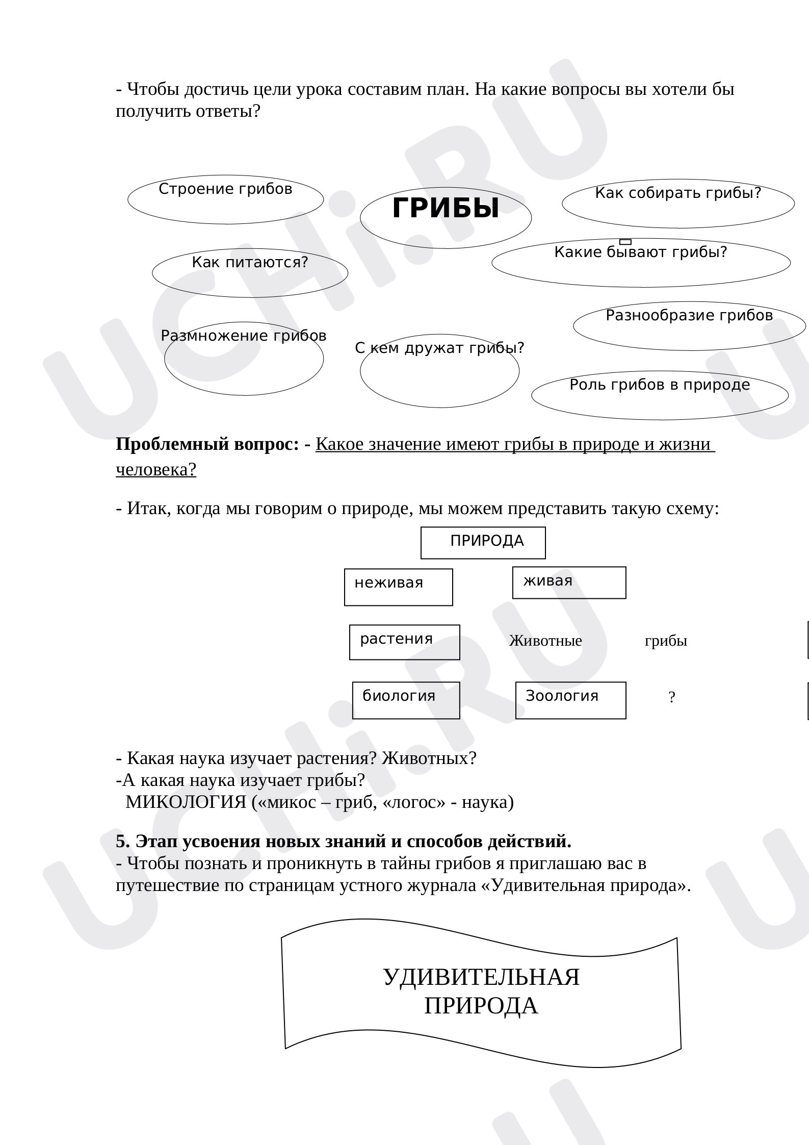 Мир вокруг, окружающий мир 3 класс | Подготовка к уроку от Учи.ру