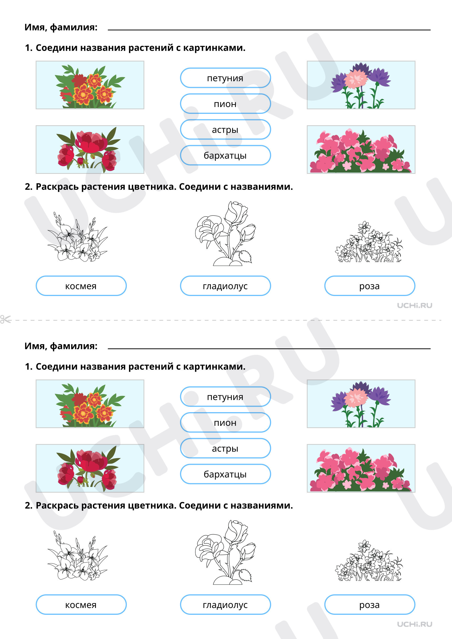 Окружающий мир, 1 класс, Растения цветника (базовый уровень).pdf