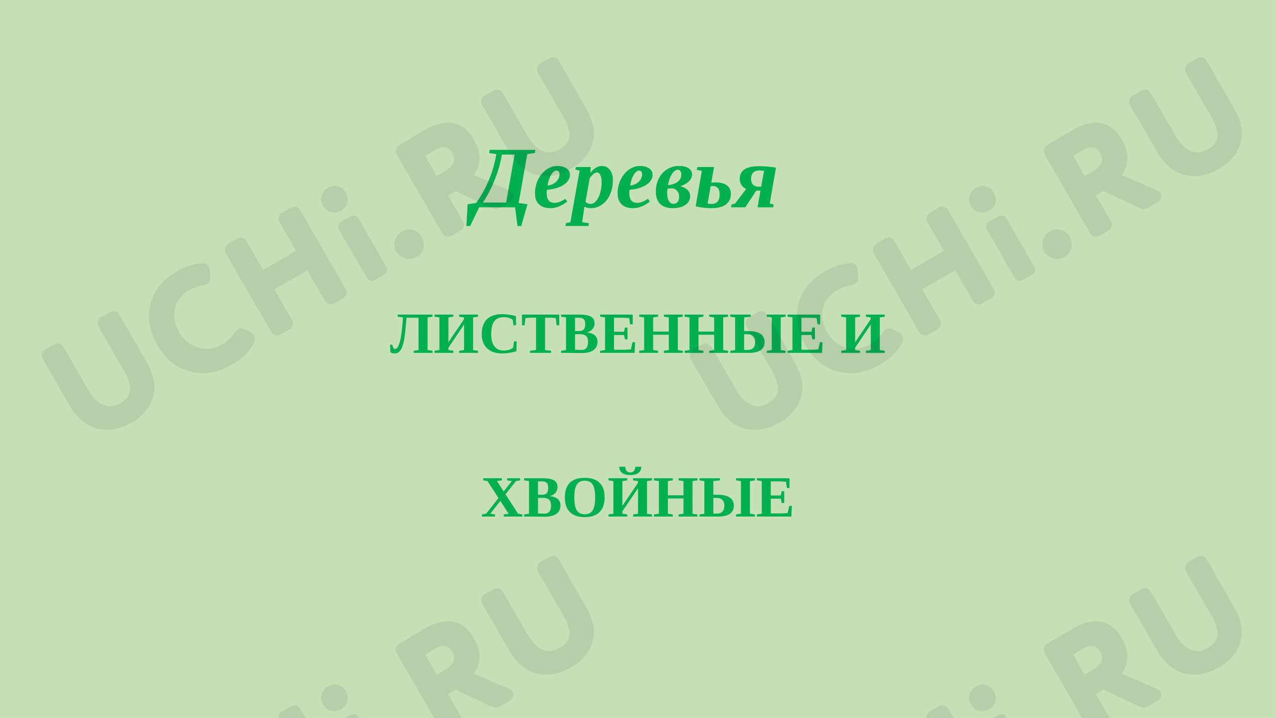 Предпросмотр материала Презентация к уроку окружающего мира. Лиственные и хвойные растения.