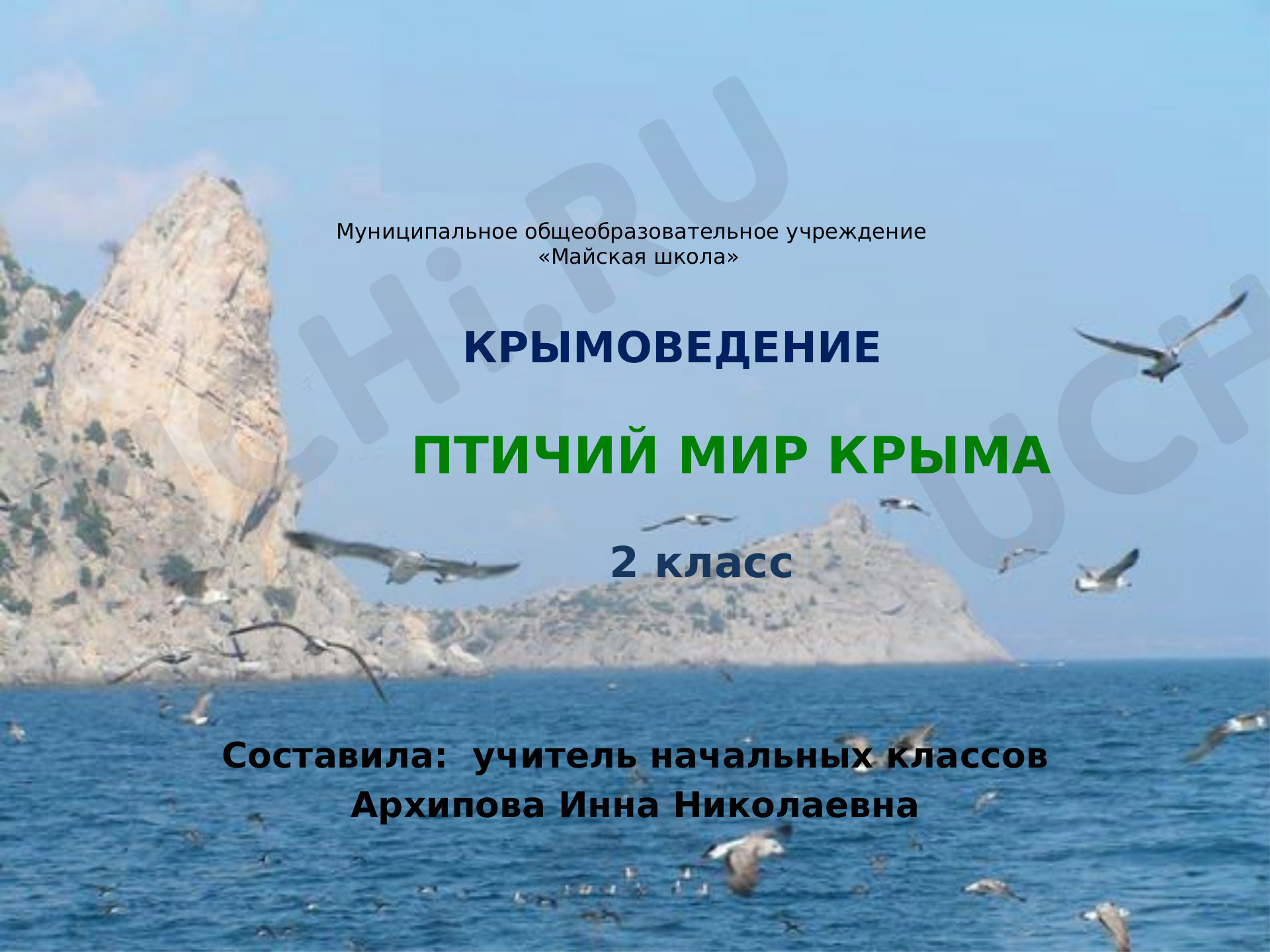 Предпросмотр материала Презентация  "Птичий мир Крыма"