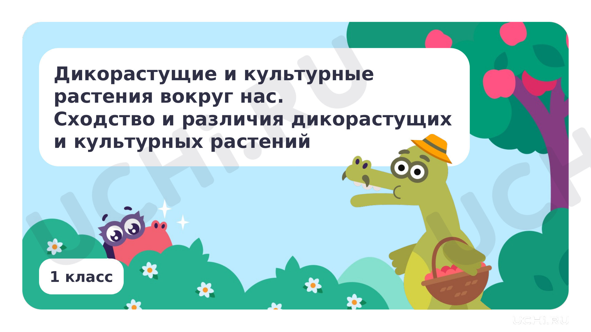 Окружающий мир, 1 класс, Дикорастущие и культурные растения вокруг нас.pptx