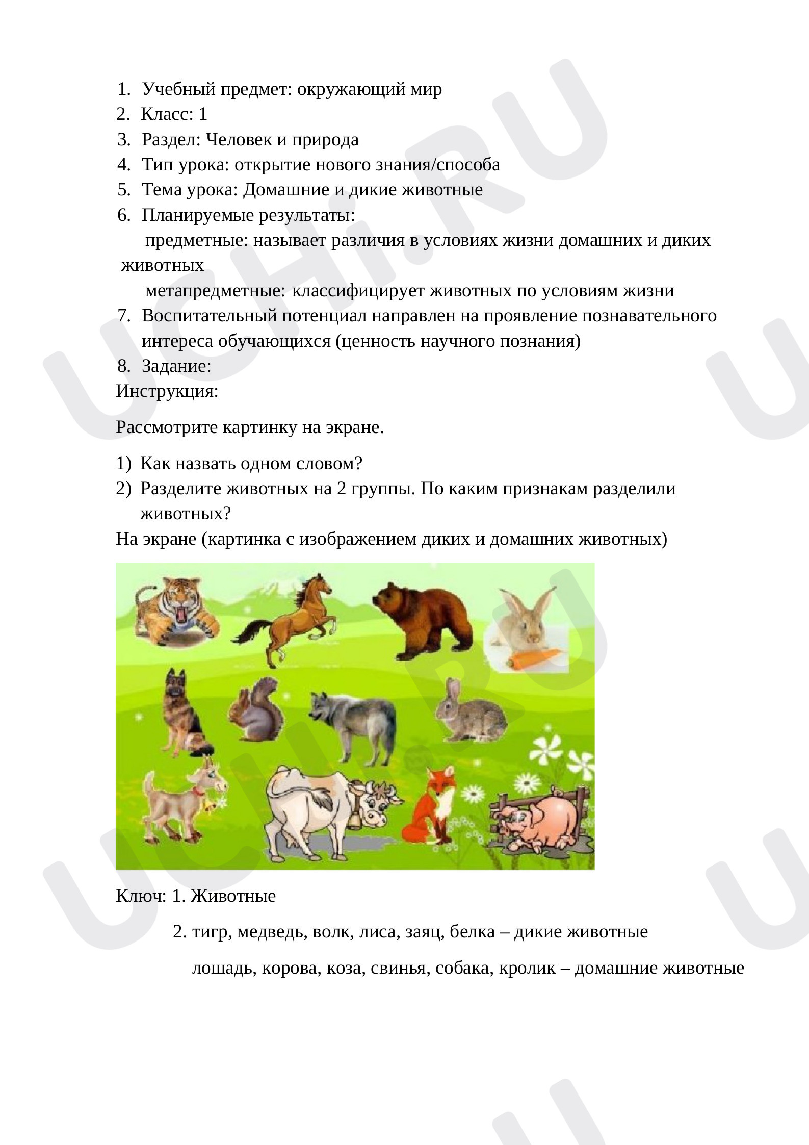 Предпросмотр материала Домашние и дикие животные