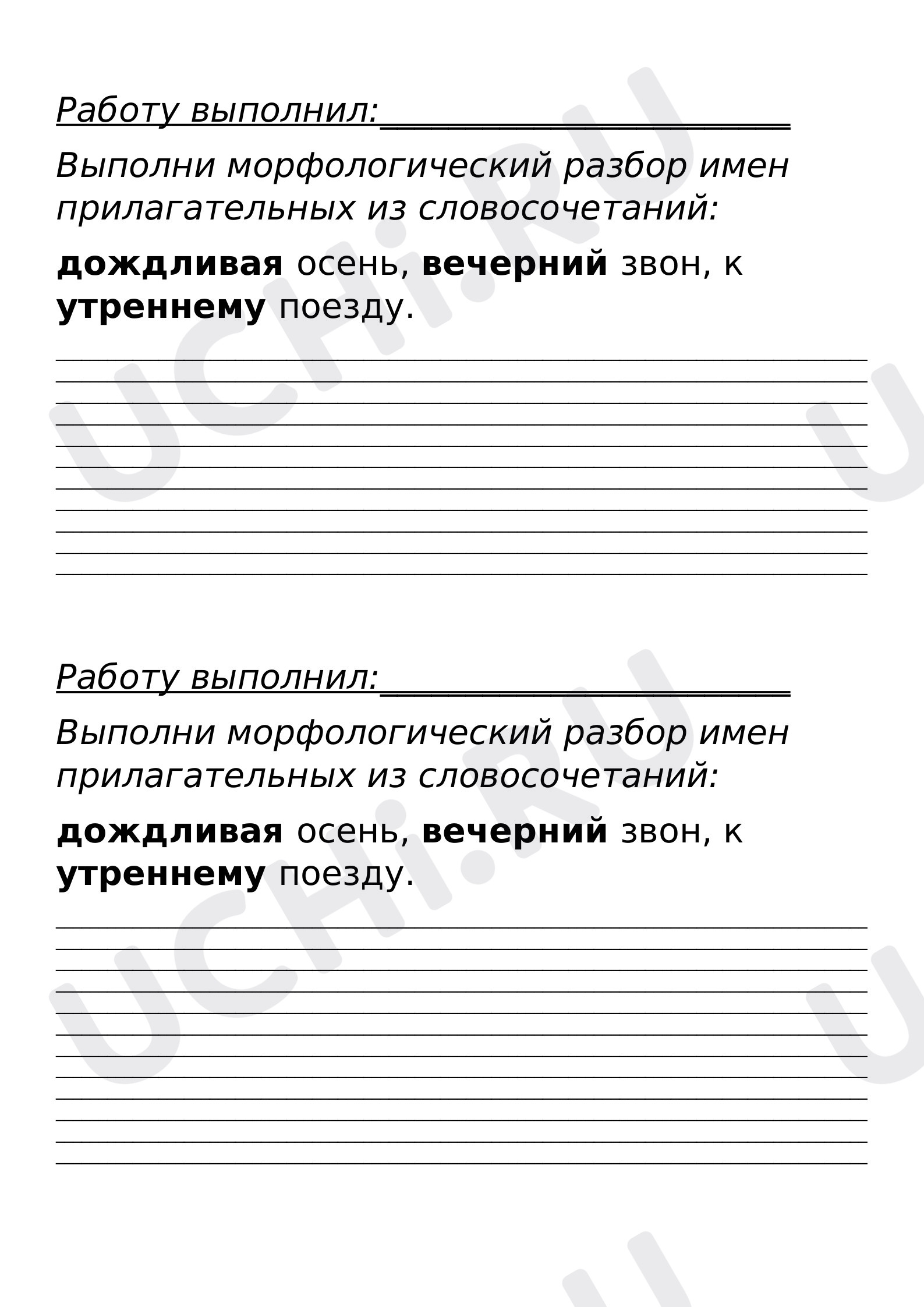 Предпросмотр материала Проверочная работа, Русский язык, Морфологический разбор имени прилагательного.