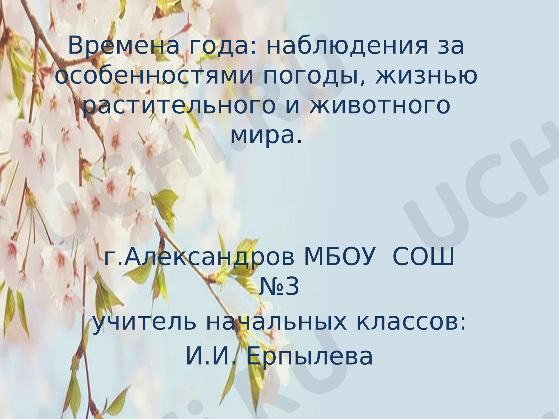 Предпросмотр материала Презентация. Времена года