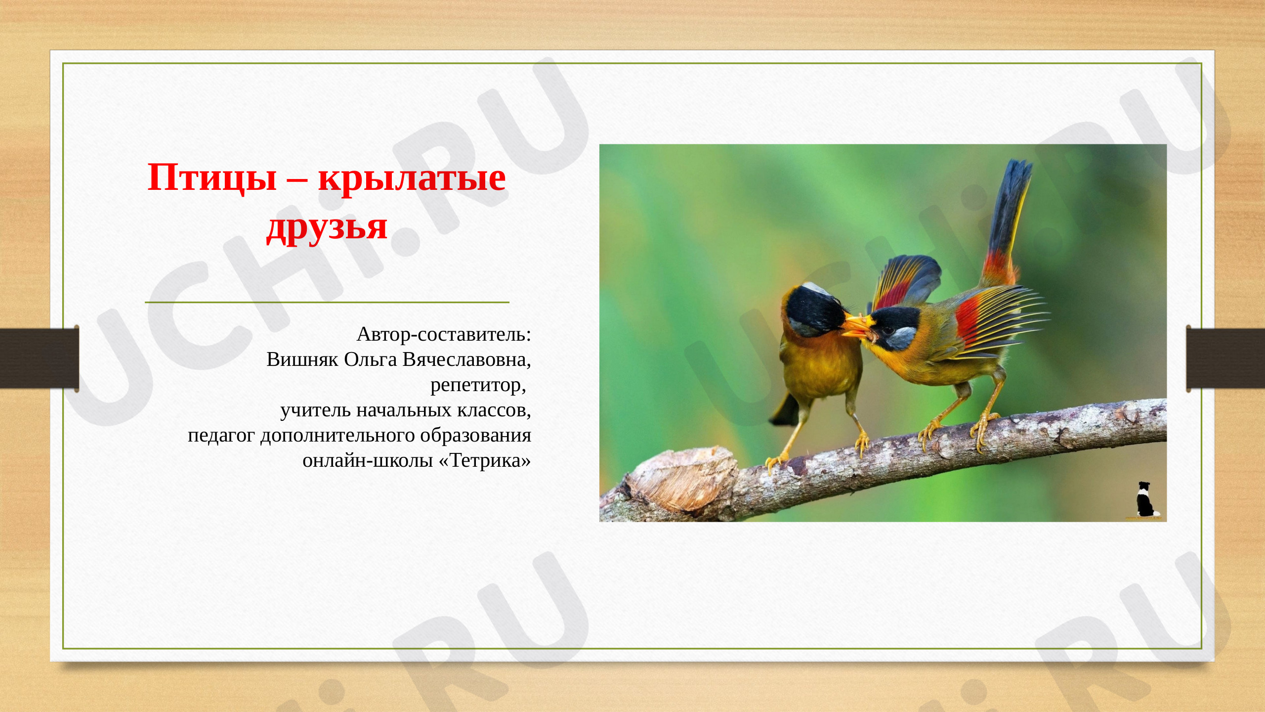 Предпросмотр материала Презентация к уроку окружающего мира. «Птицы-крылатые друзья».
