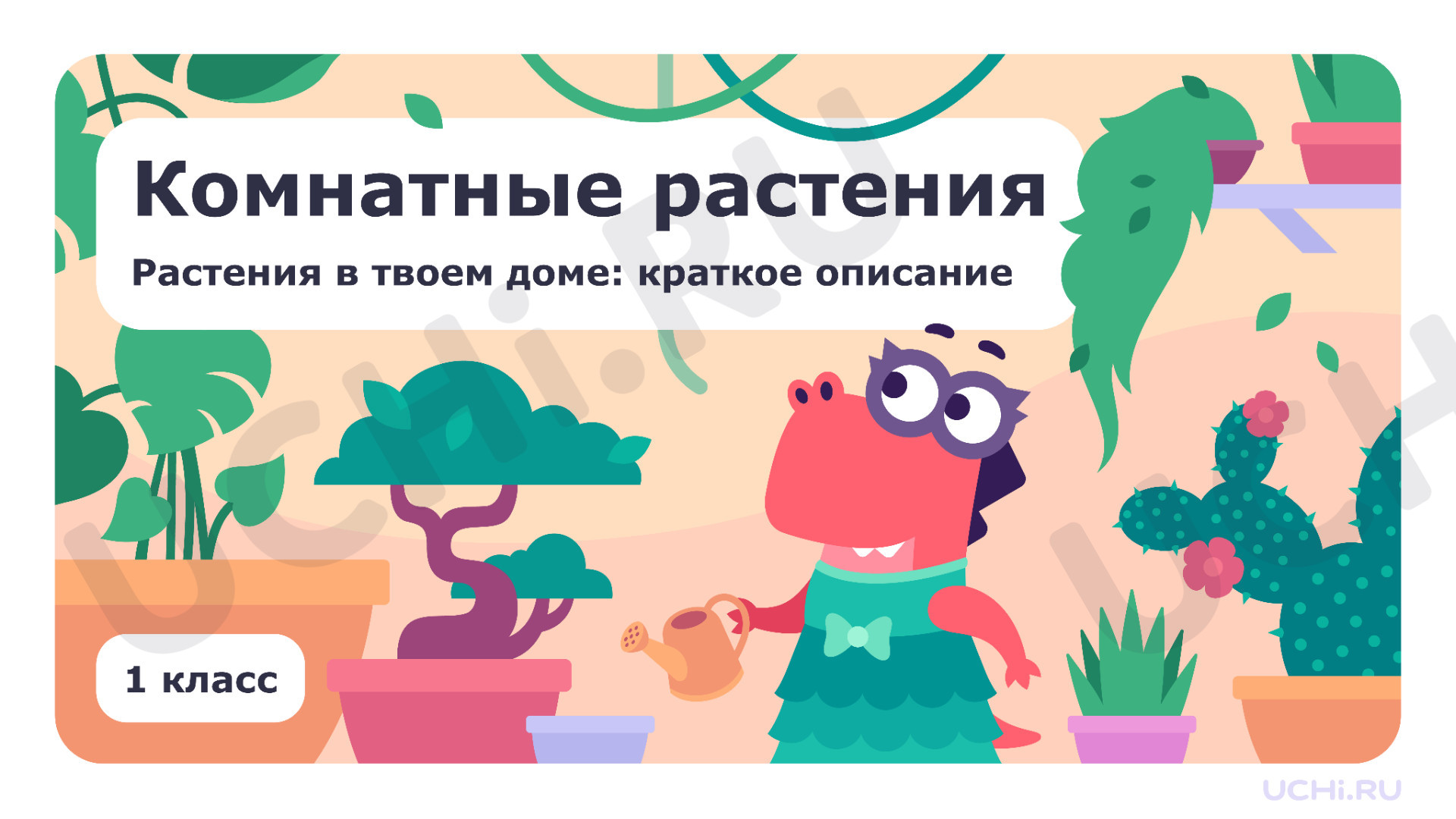Предпросмотр материала Комнатные растения