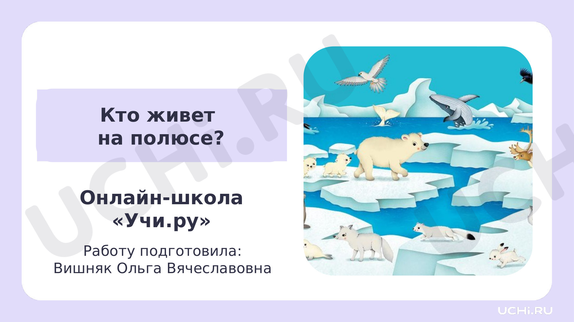 Предпросмотр материала Презентация к уроку окружающего мира. «Кто живет на полюсе?».