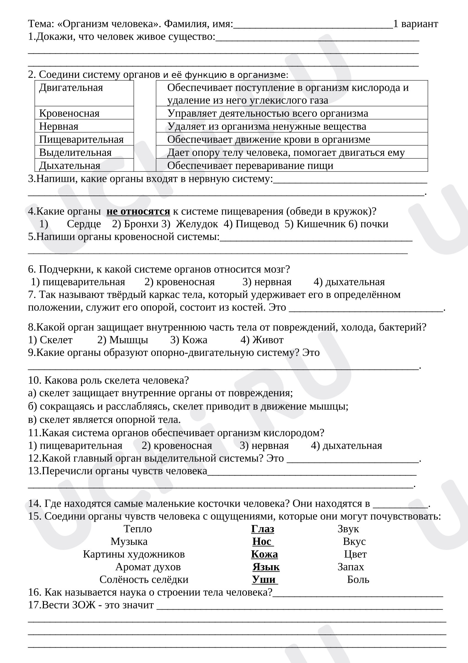 Предпросмотр материала Проверочная работа к уроку окружающего мира по теме: «Организм человека»
