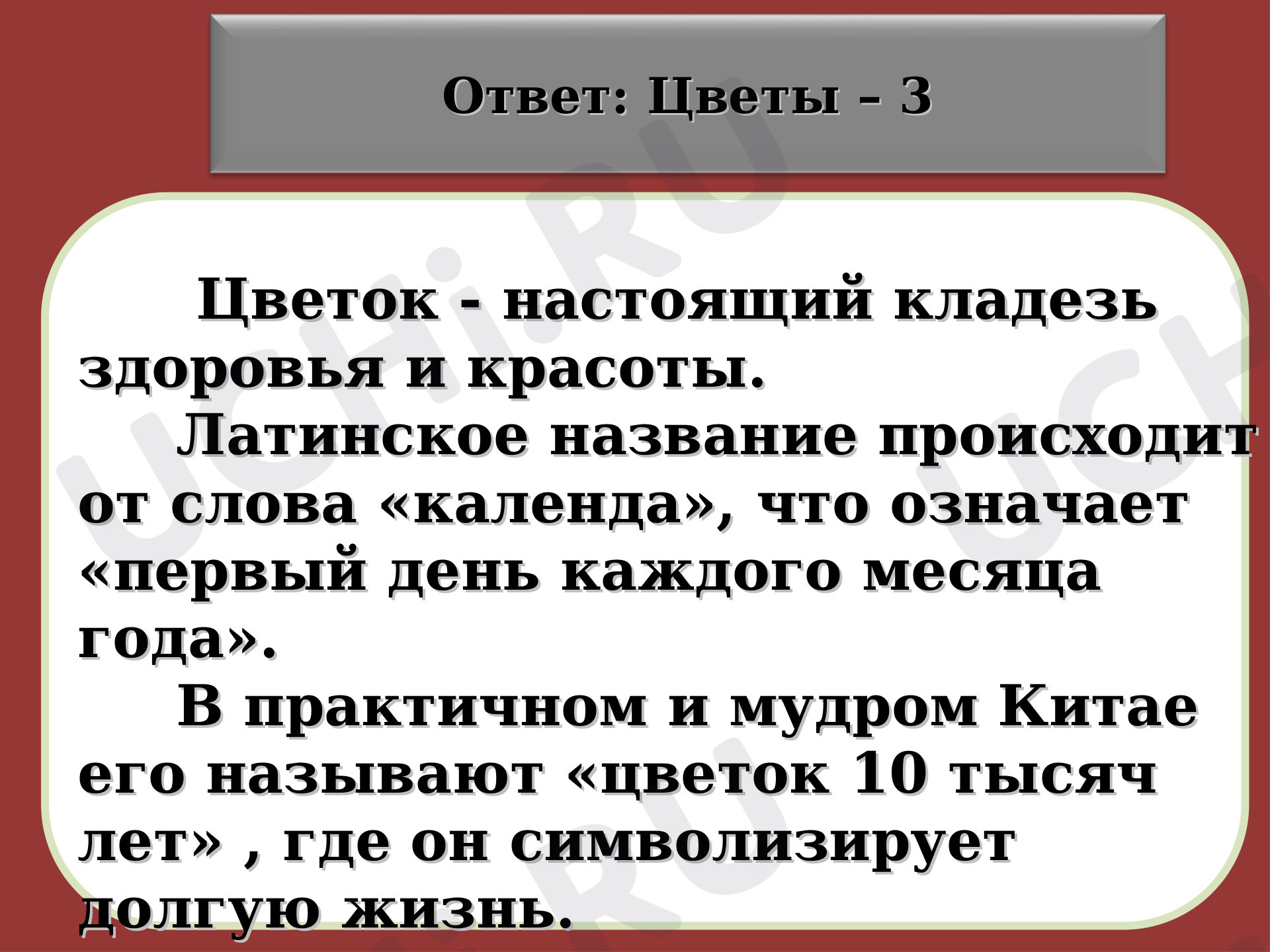 Сочини синквейн. Распечатка для ученика: Обобщение знаний по разделу |  Учи.ру