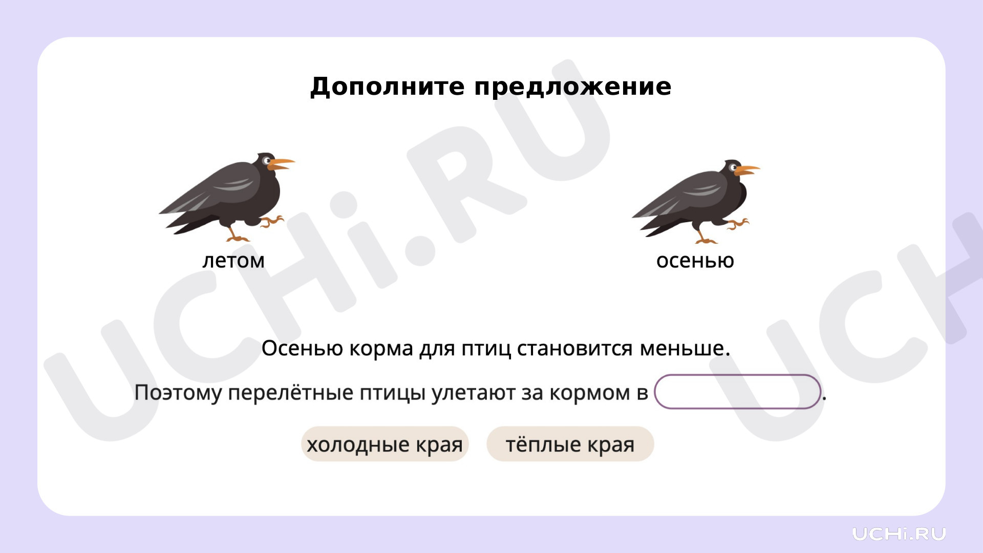 Окружающий мир для 4 четверти 1 класса. ЭОР | Подготовка к уроку от Учи.ру