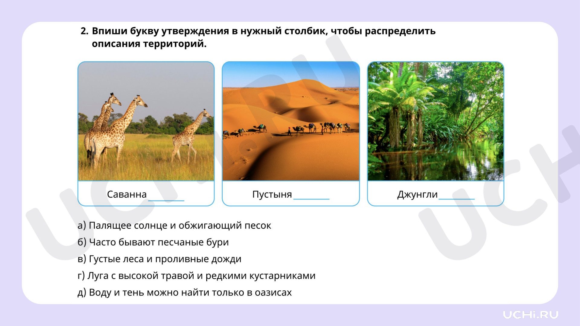 Окружающий мир для 4 четверти 1 класса. ЭОР | Подготовка к уроку от Учи.ру