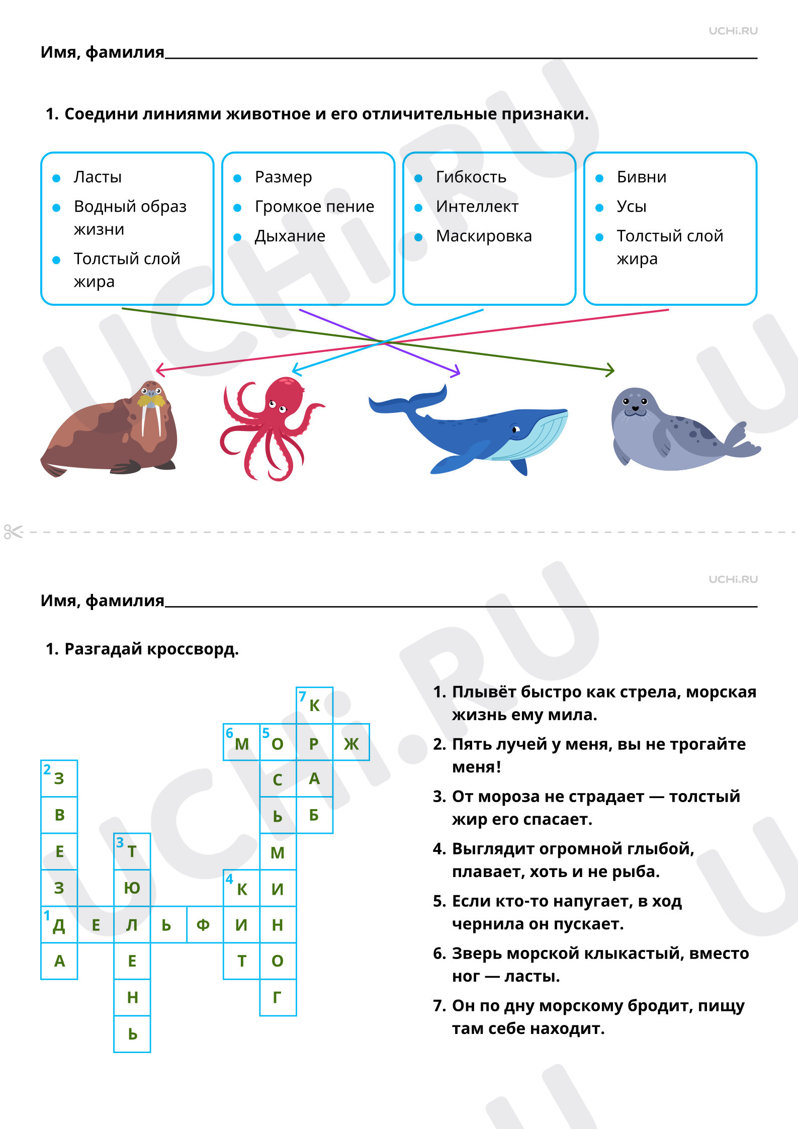 Ответы к рабочим листам по теме «Какие звери живут в морях и океанах?»:  Какие животные живут в морях и океанах? Морские животные: узнавание,  называние, краткое описание | Учи.ру