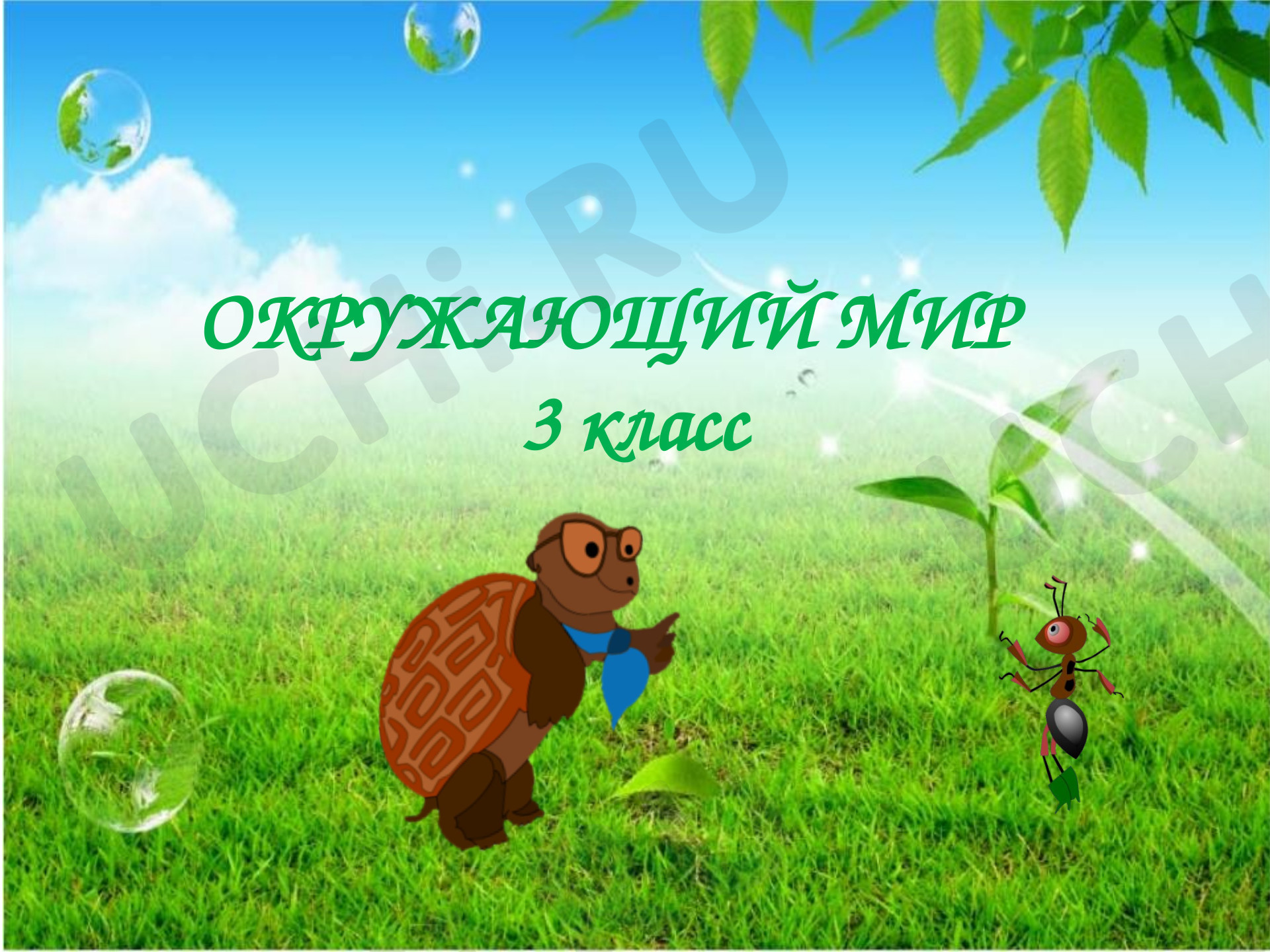 Предпросмотр материала Презентация к уроку окружающего мира  в 3 класс "Разнообразие растений"