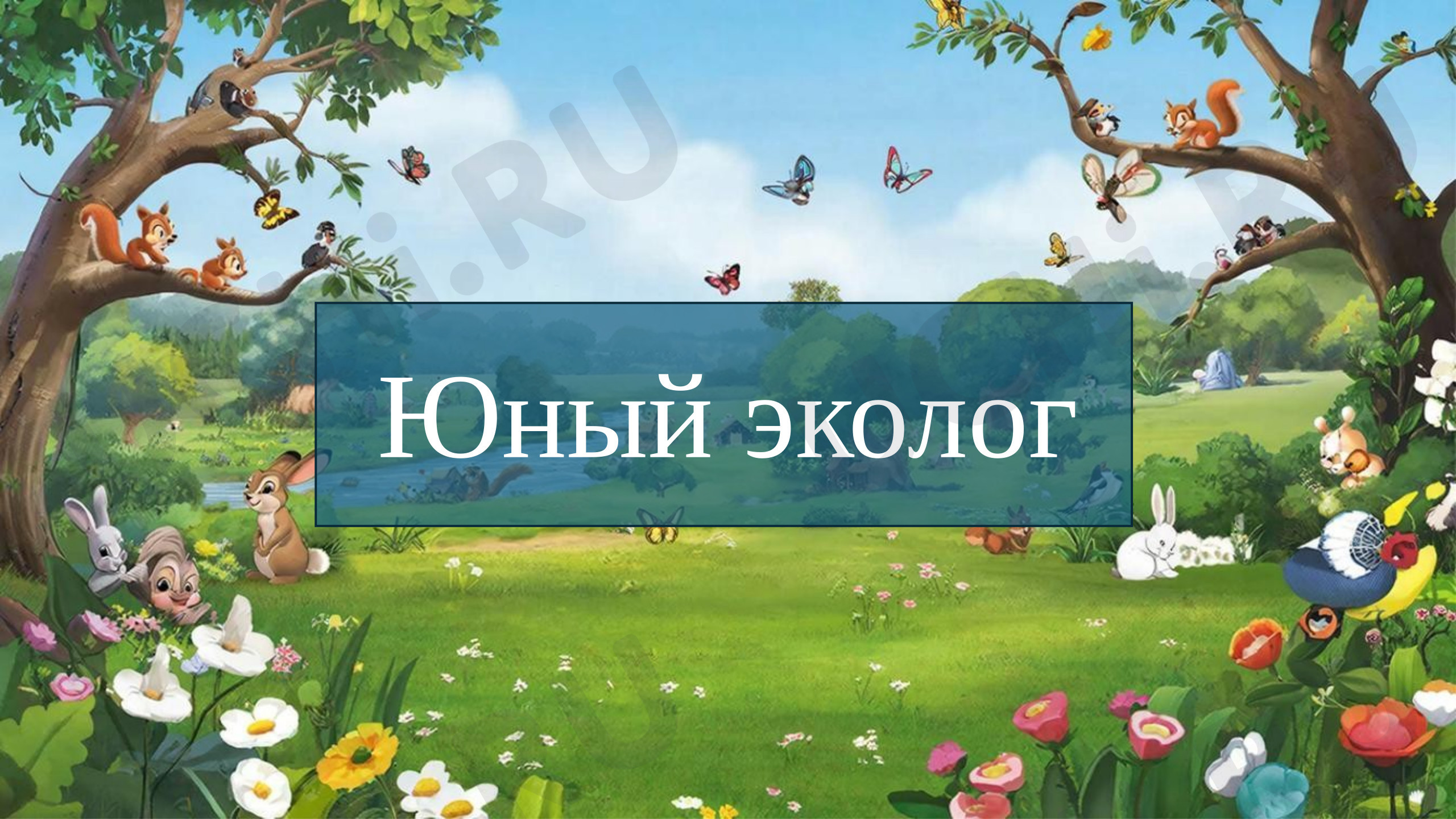Предпросмотр материала Презентация к занятию. Юный эколог.