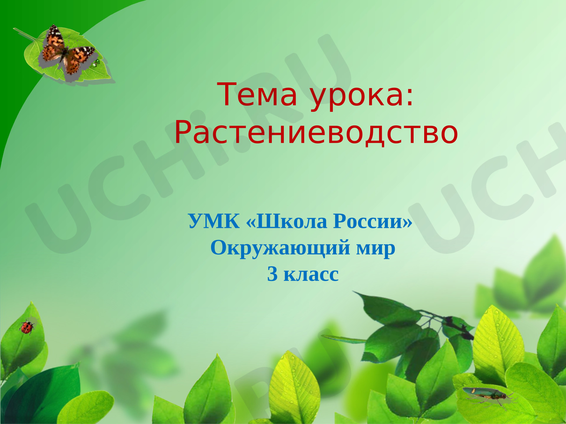 Предпросмотр материала Презентация к уроку окружающего мира по теме: "Растениеводство"