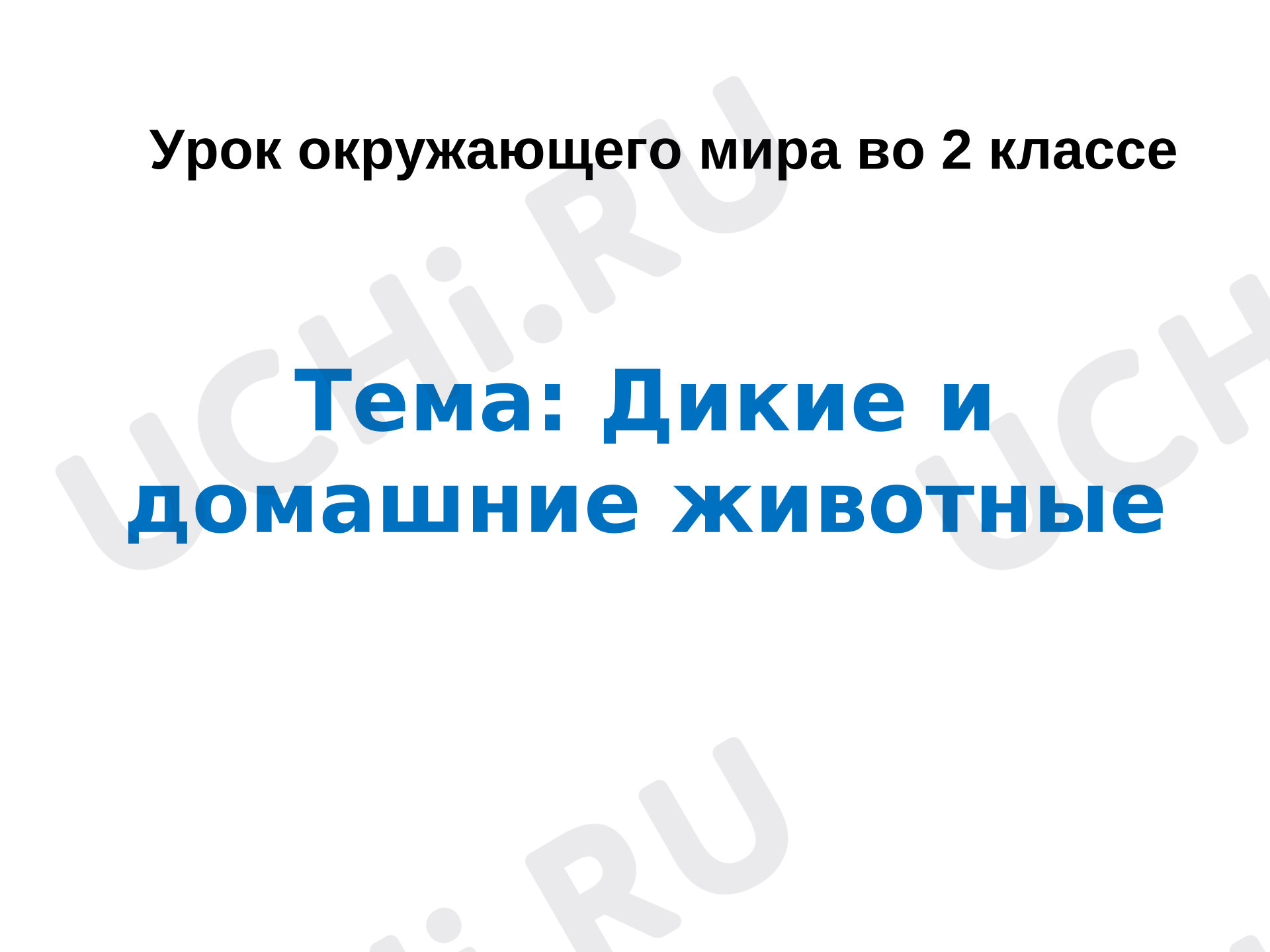 Предпросмотр материала Презентация к уроку окружающего мира по теме: "Дикие и домашние животные"