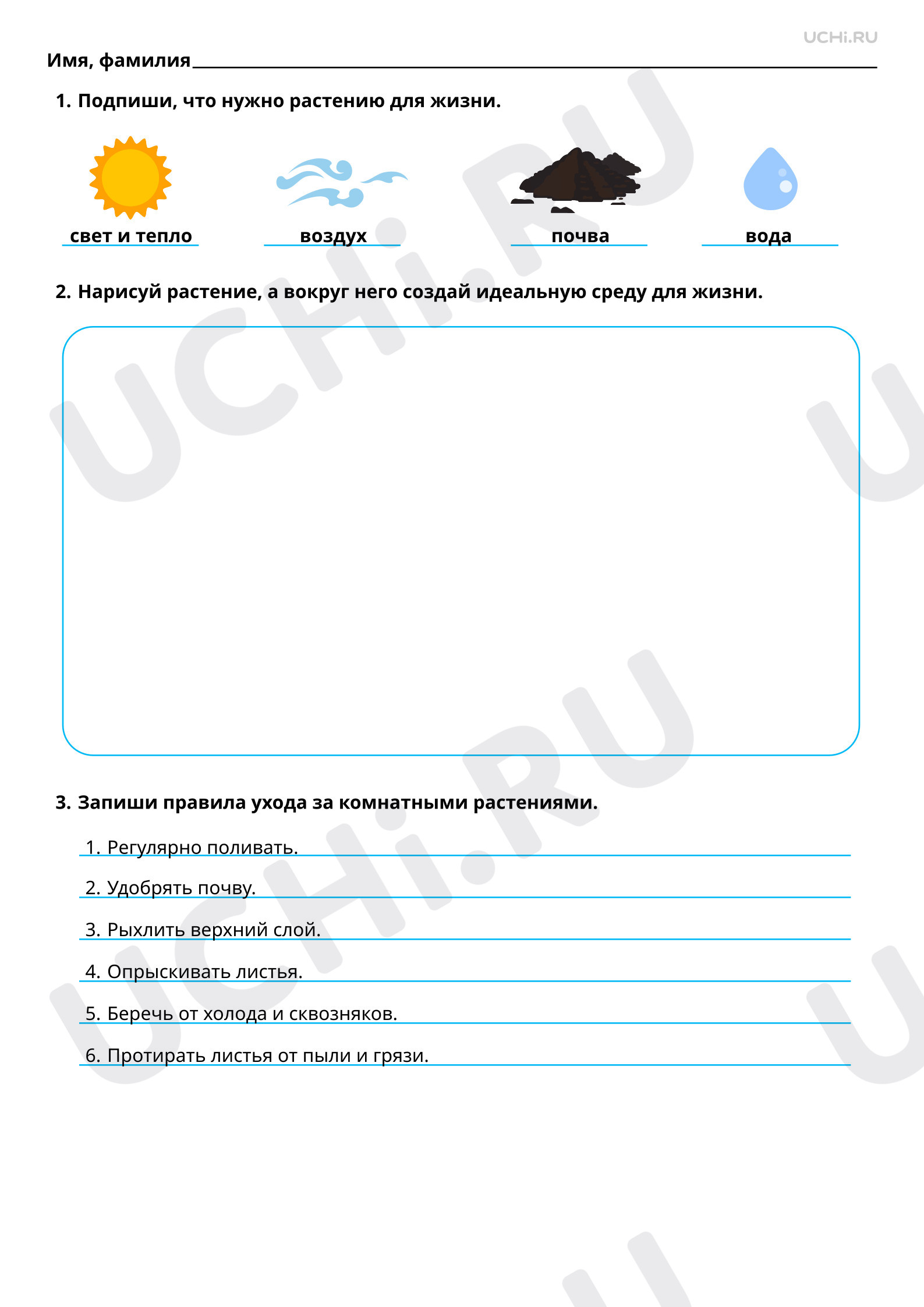 Ответы к рабочим листам по теме «Как живут растения?»: Как живут растения?  | Учи.ру