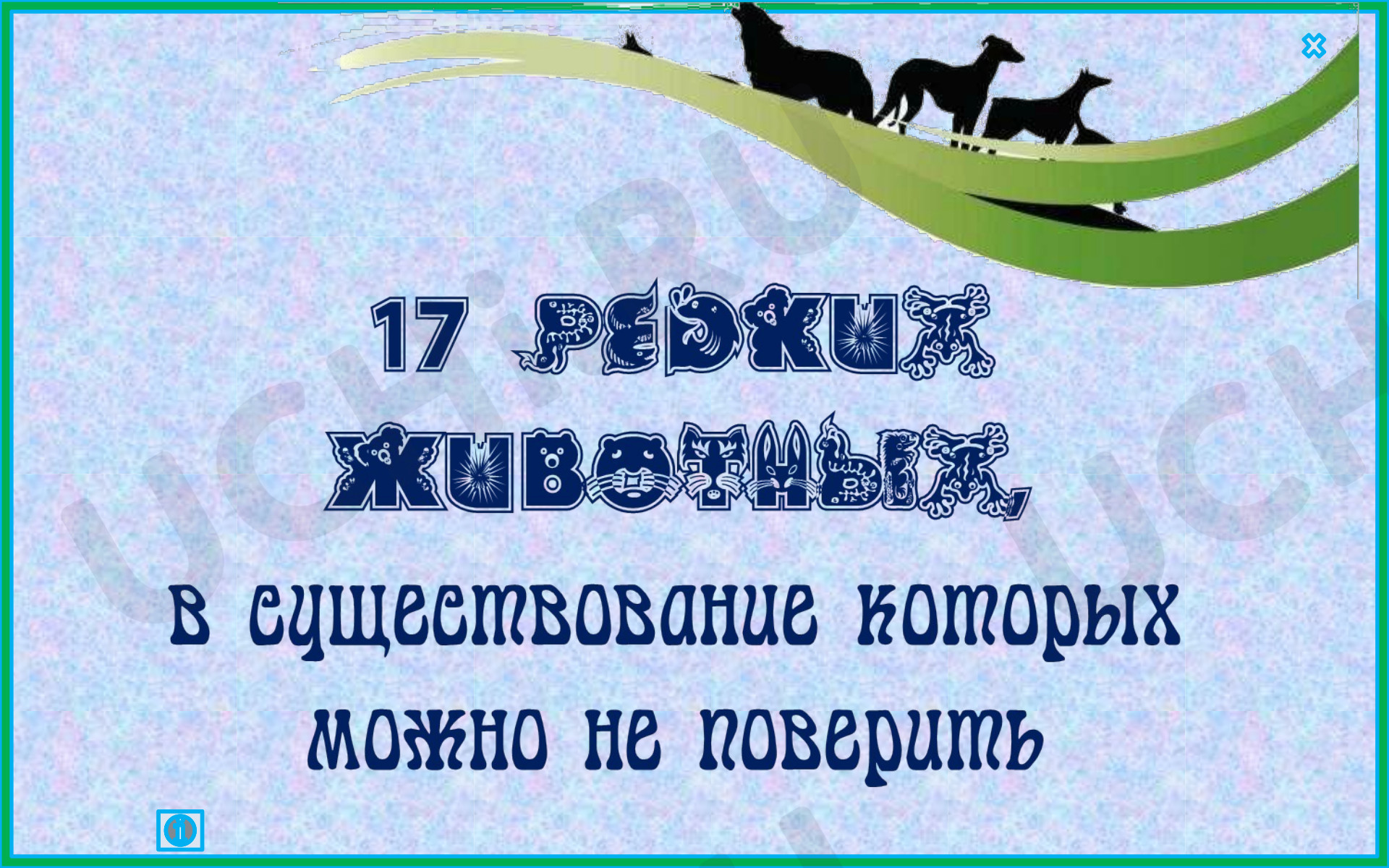 Предпросмотр материала Презентация к уроку окружающего мира. Редкие животные в которых трудно поверить.
