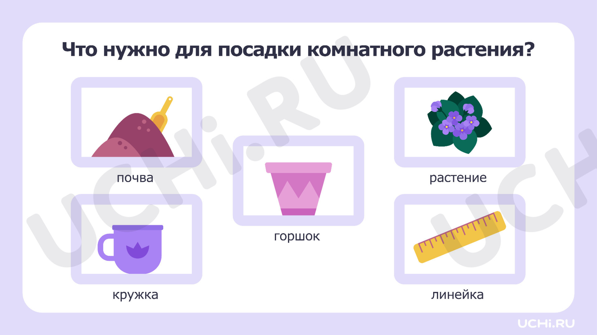 Окружающий мир для 1 четверти 1 класса. ЭОР | Подготовка к уроку от Учи.ру