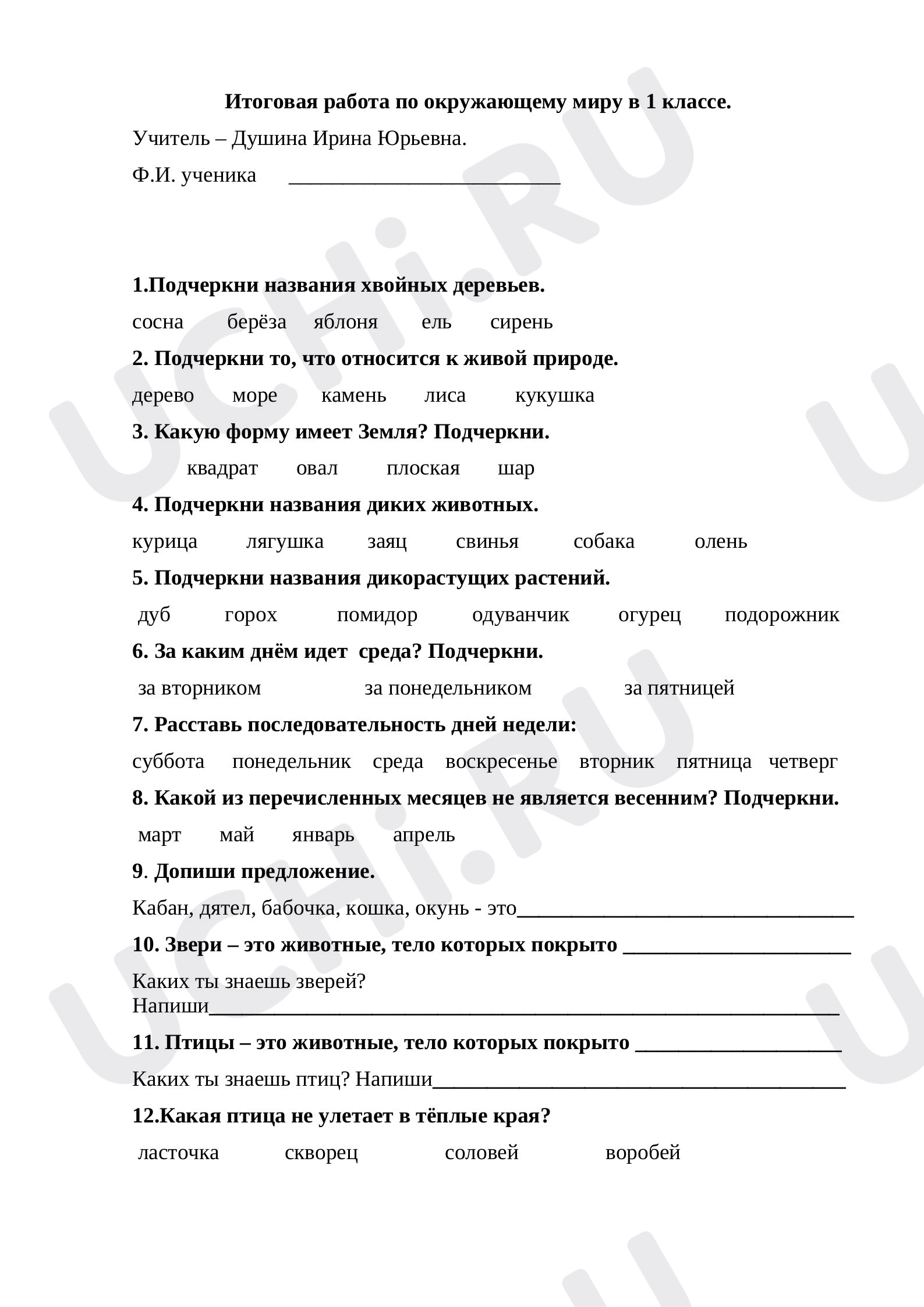 Предпросмотр материала Итоговая работа