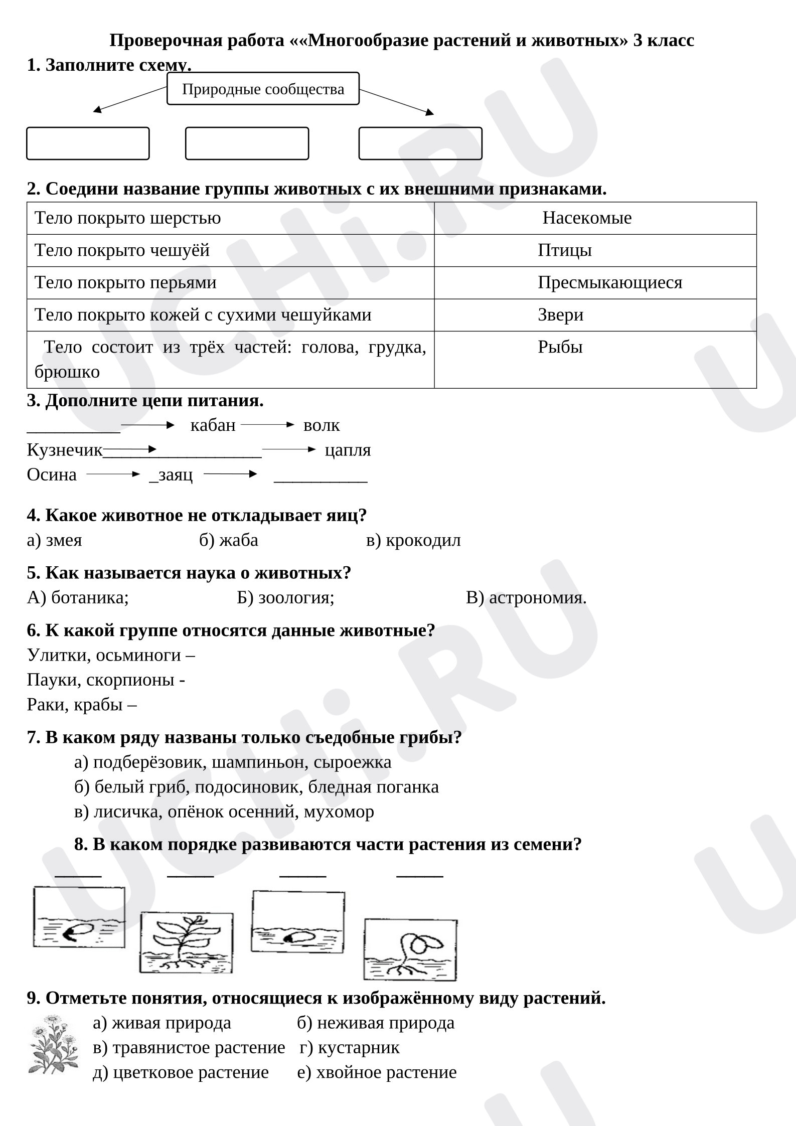Предпросмотр материала Проверочная работа по окружающему миру «Многообразие растений и животных» 3 класс