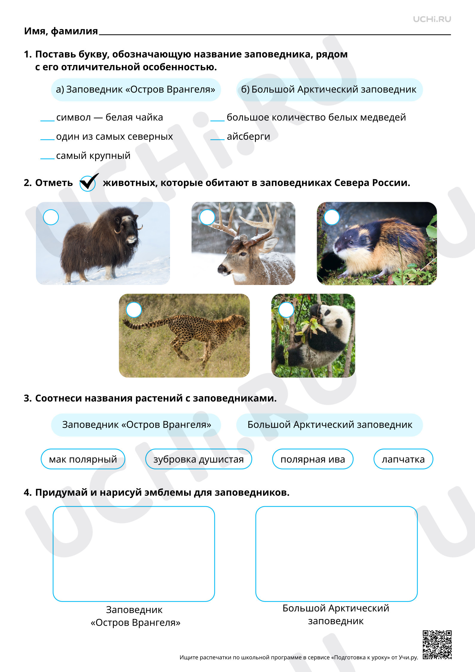 Предпросмотр материала Заповедники Севера России (Остров Врангеля, Большой Арктический заповедник). Базовый уровень