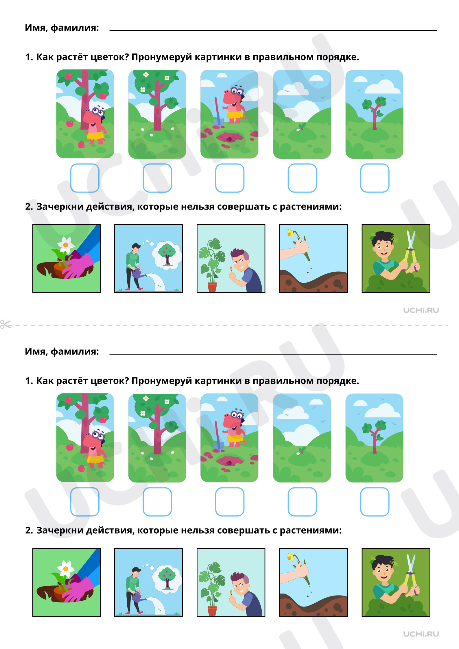 Окружающий мир, 1 класс, Как живут растения? (повышенный уровень).pdf