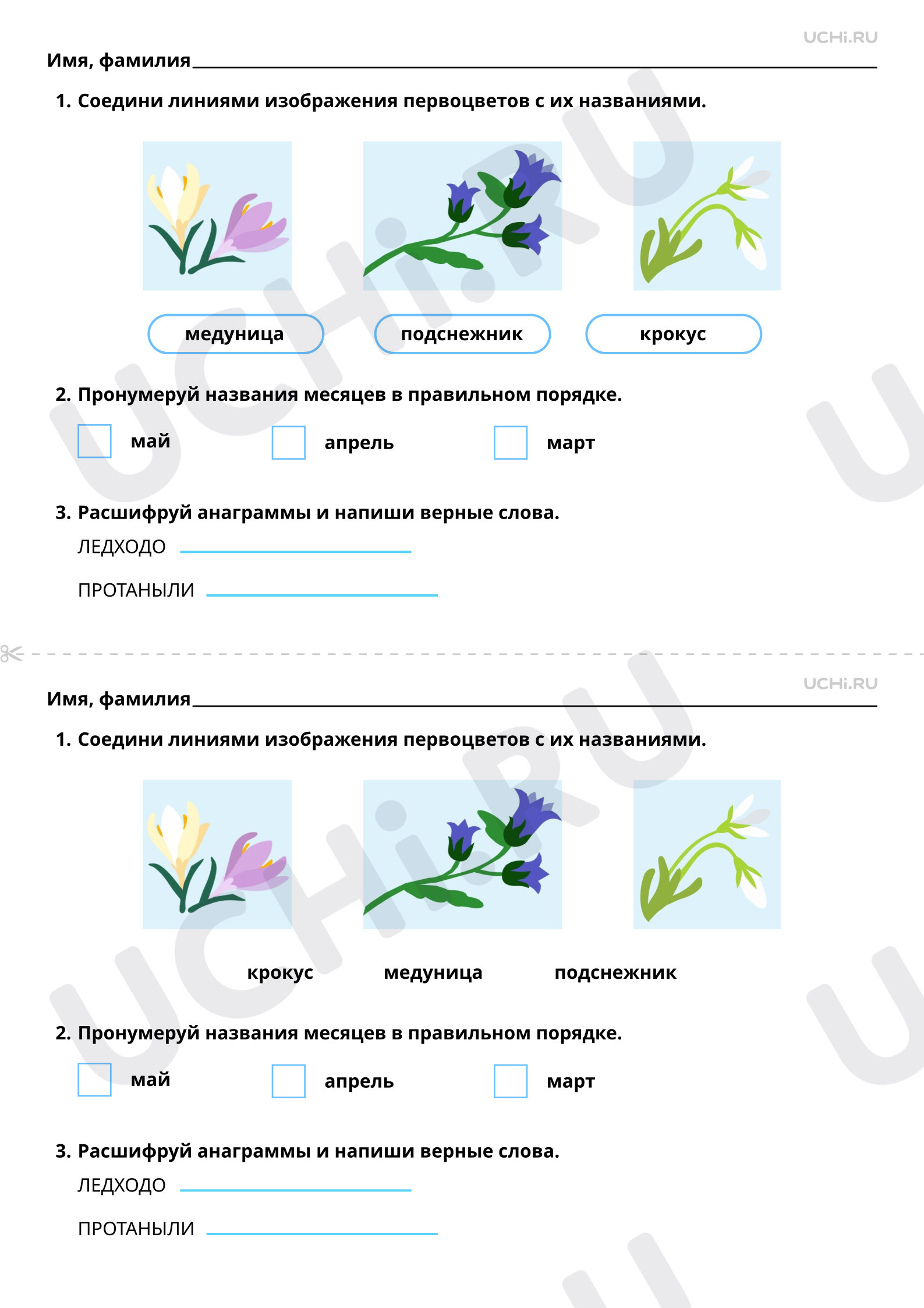 Рабочие листы по теме «Времена года. Наблюдения за погодой, жизнью  растительного и животного мира весной». Базовый уровень: Наблюдения за  особенностью погоды, жизнью растительного и животного мира весной | Учи.ру