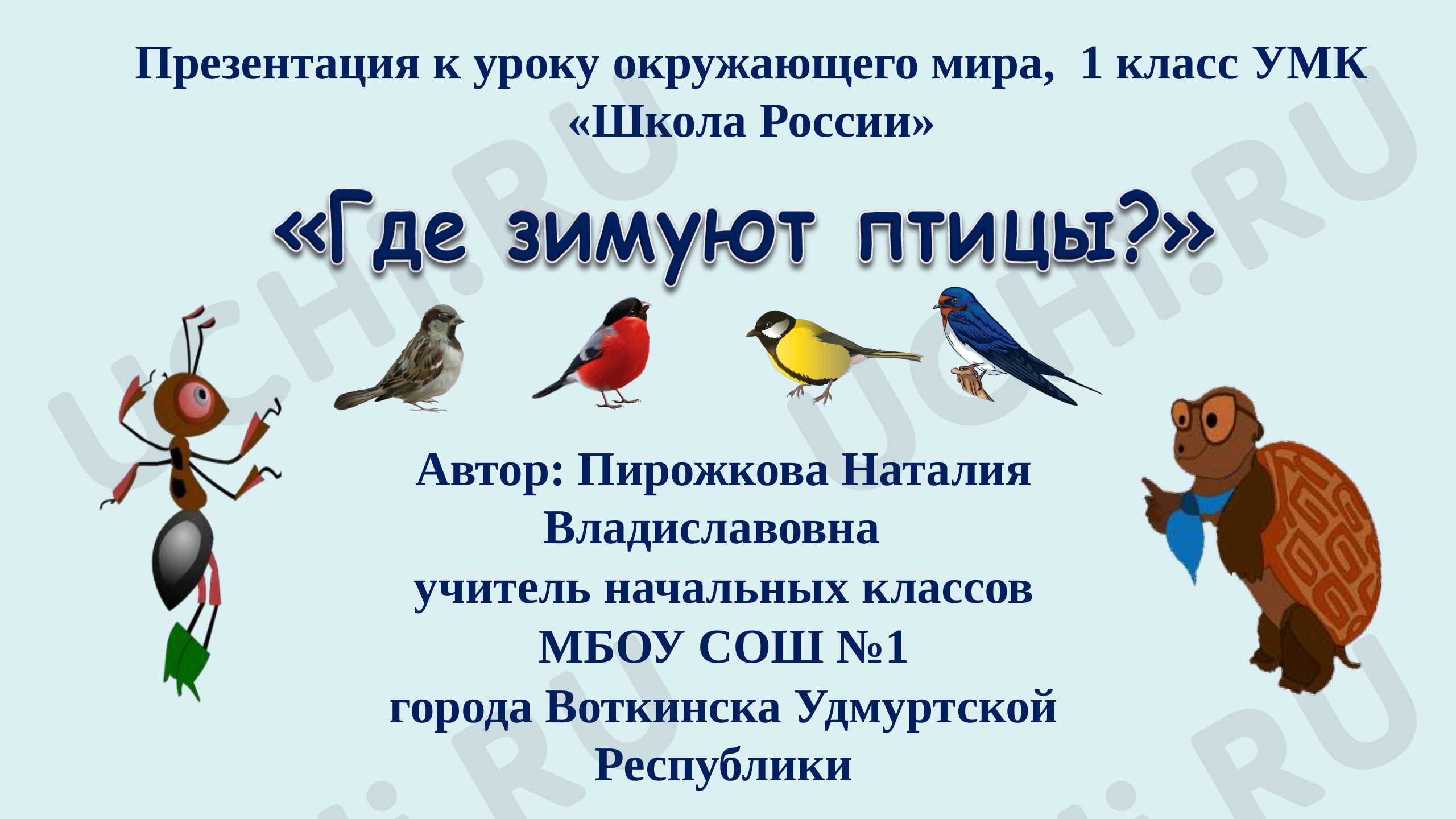 Предпросмотр материала Где зимуют птицы?