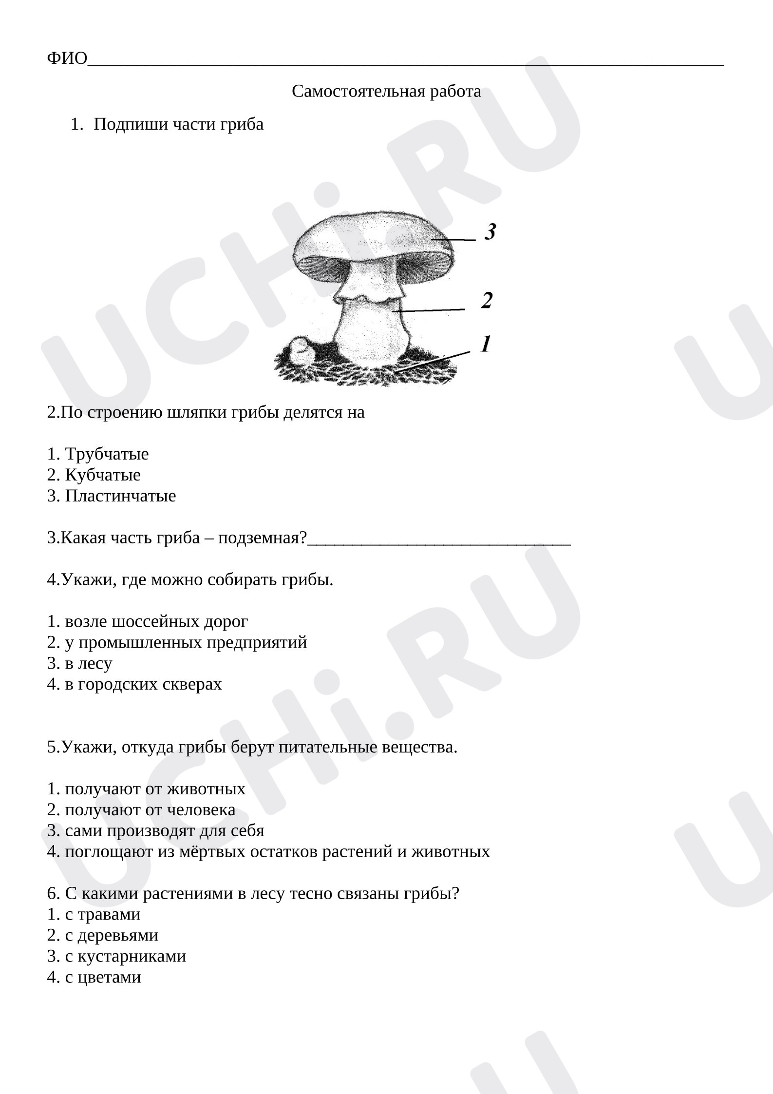 Предпросмотр материала Грибы